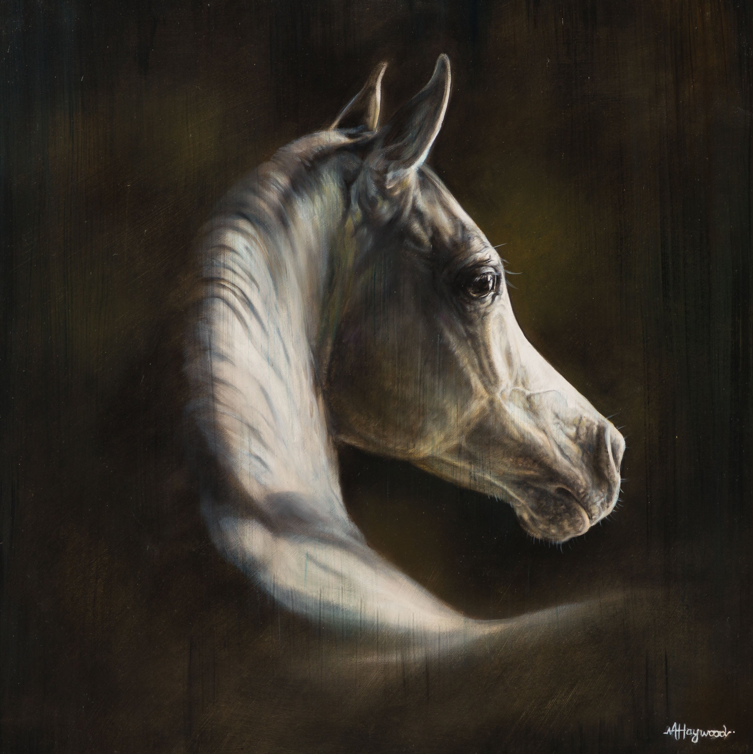 MHA ORI WWL 33903 The Little Prince 31 