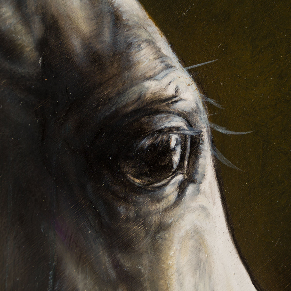 MHA ORI WWL 33903 The Little Prince 5 