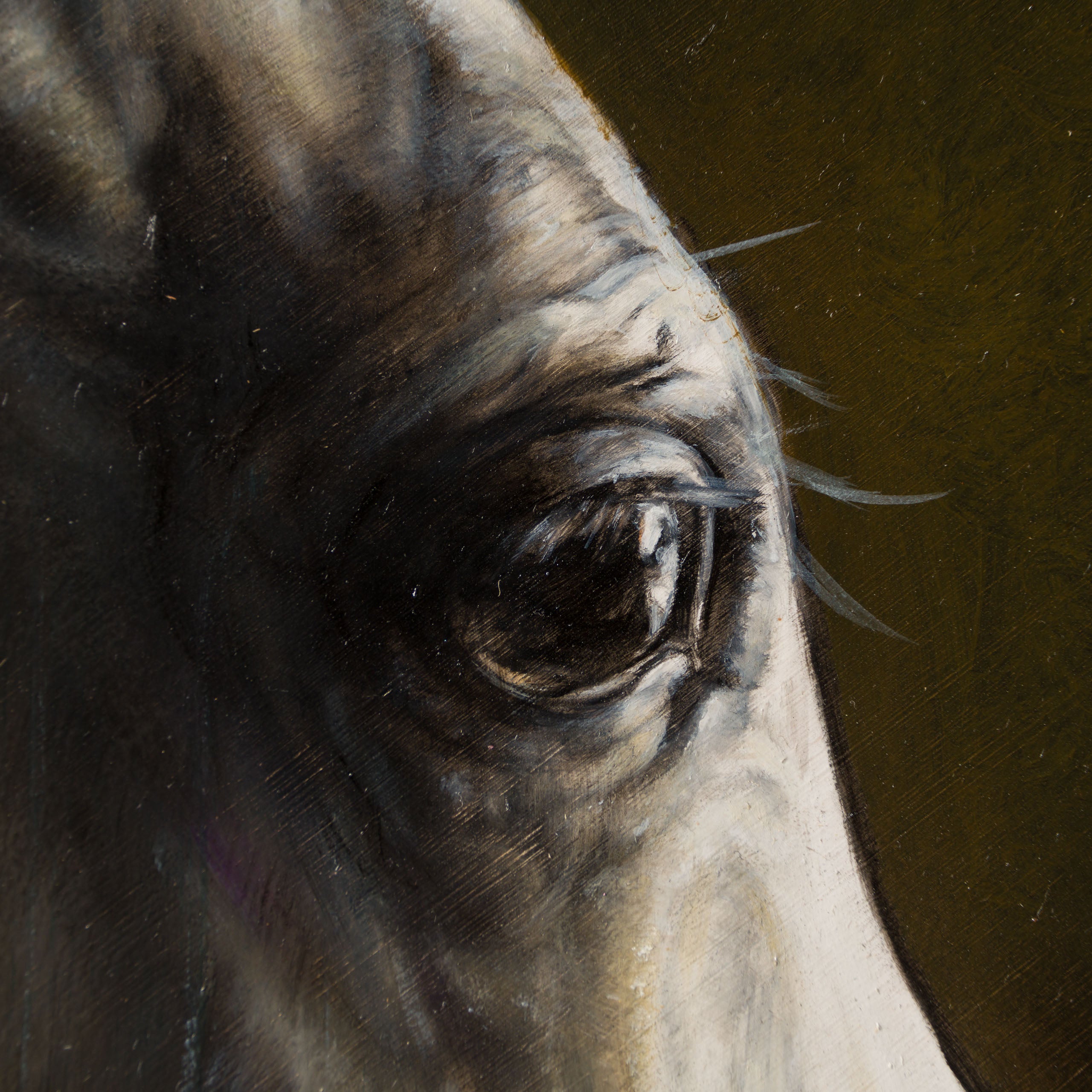 MHA ORI WWL 33903 The Little Prince 5 