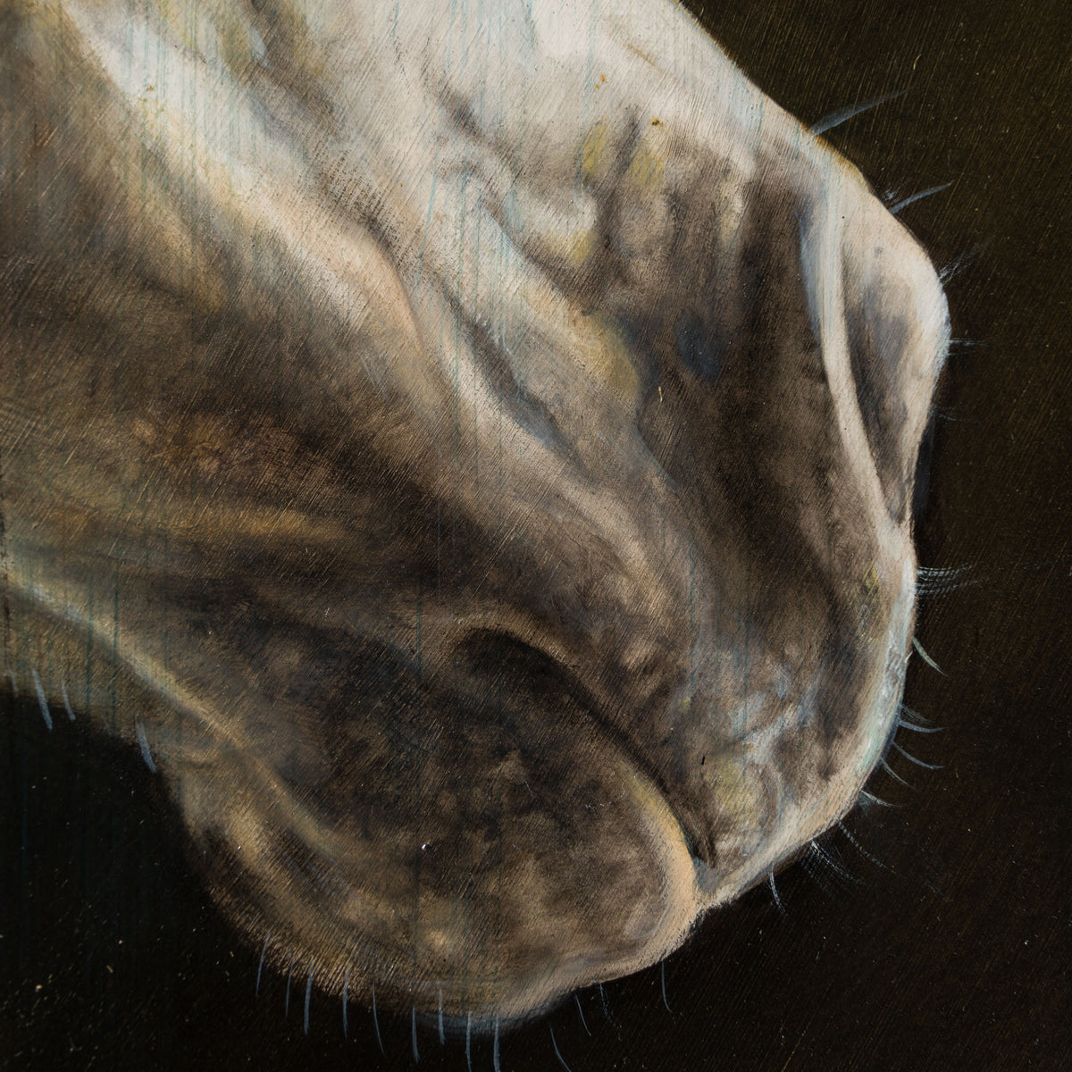 MHA ORI WWL 33903 The Little Prince 6 