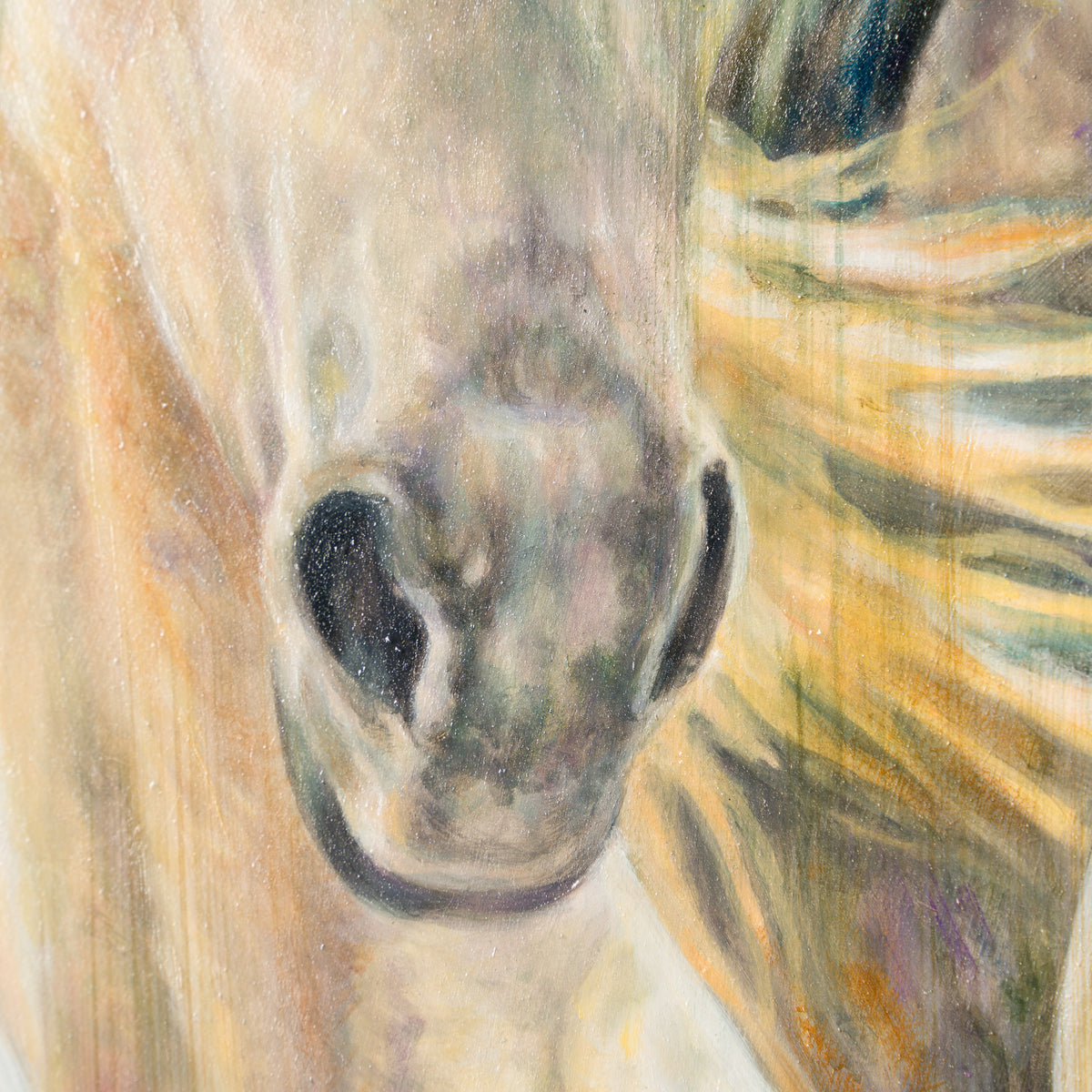 MHA ORI WWL 33904 The Spotlight 6 