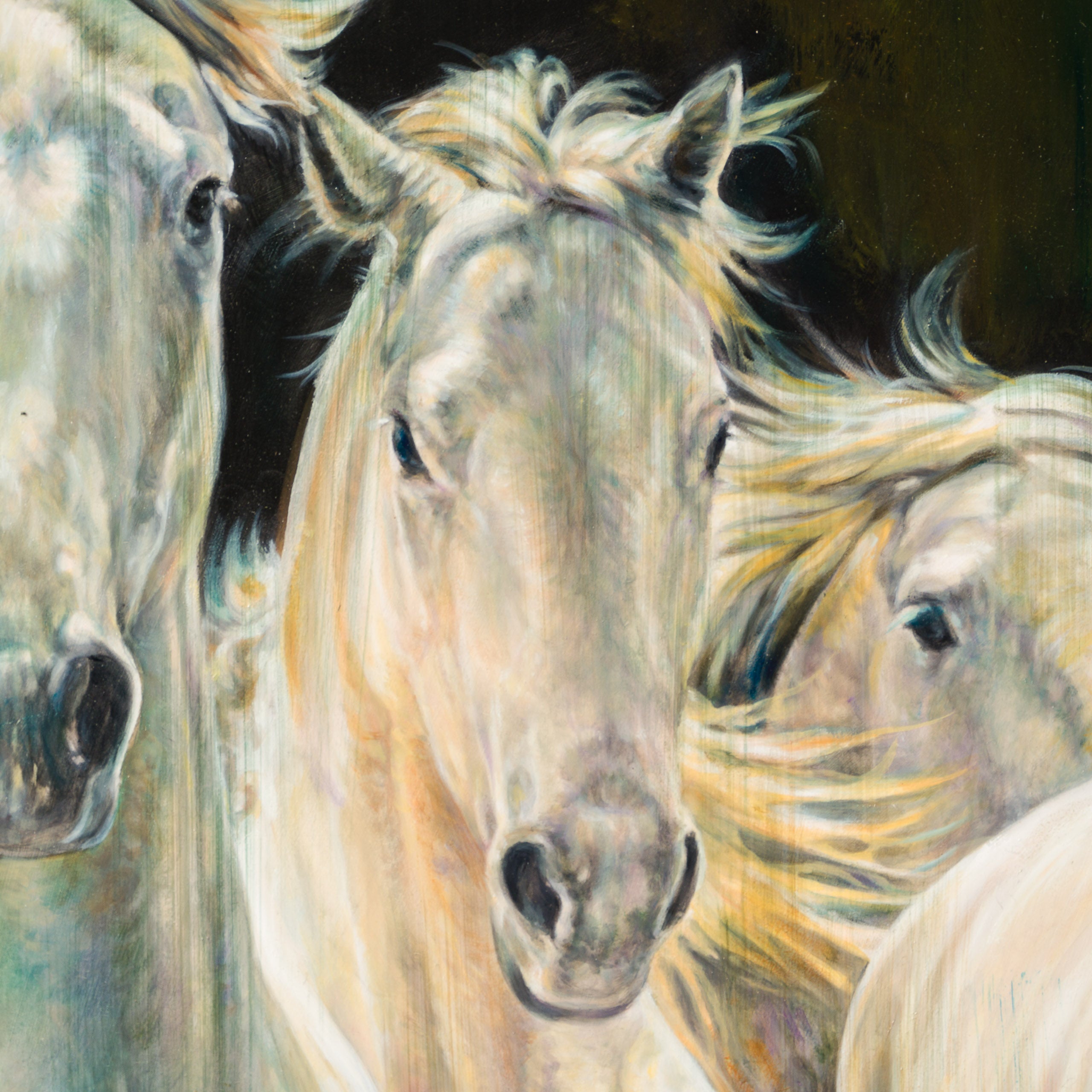 MHA ORI WWL 33904 The Spotlight 7 