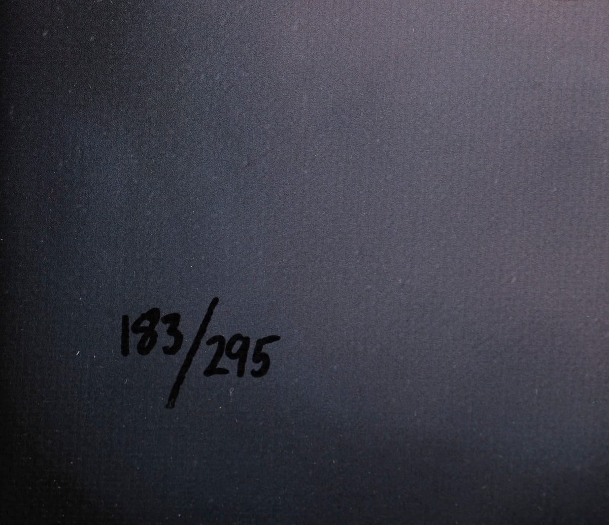 NHU SLE POR 16169 6 Civil War 