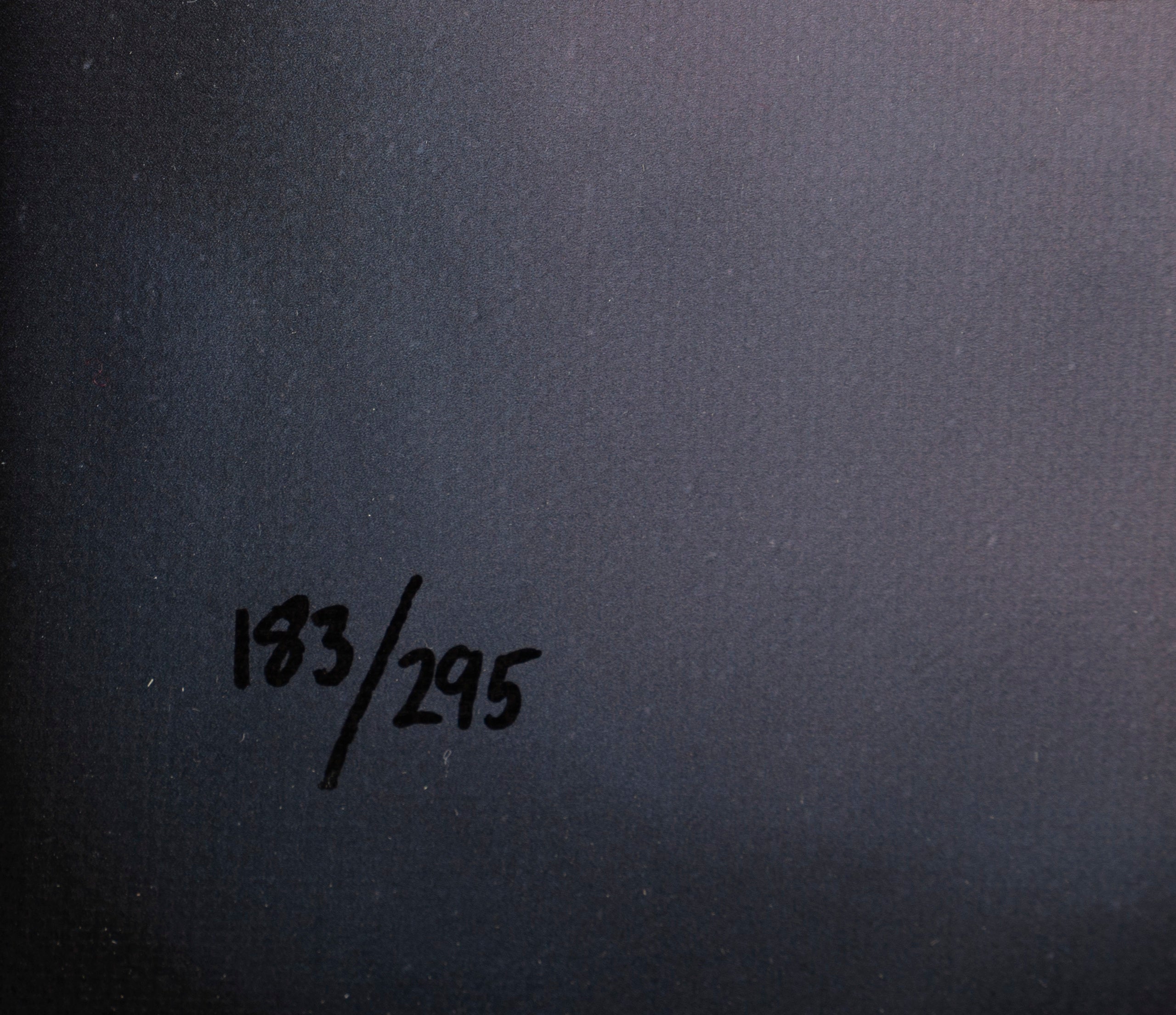 NHU SLE POR 16169 6 Civil War 