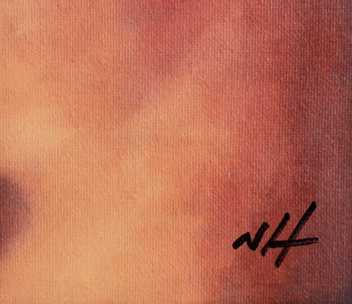 NHU SLE POR 24099 5 Darth Vader 