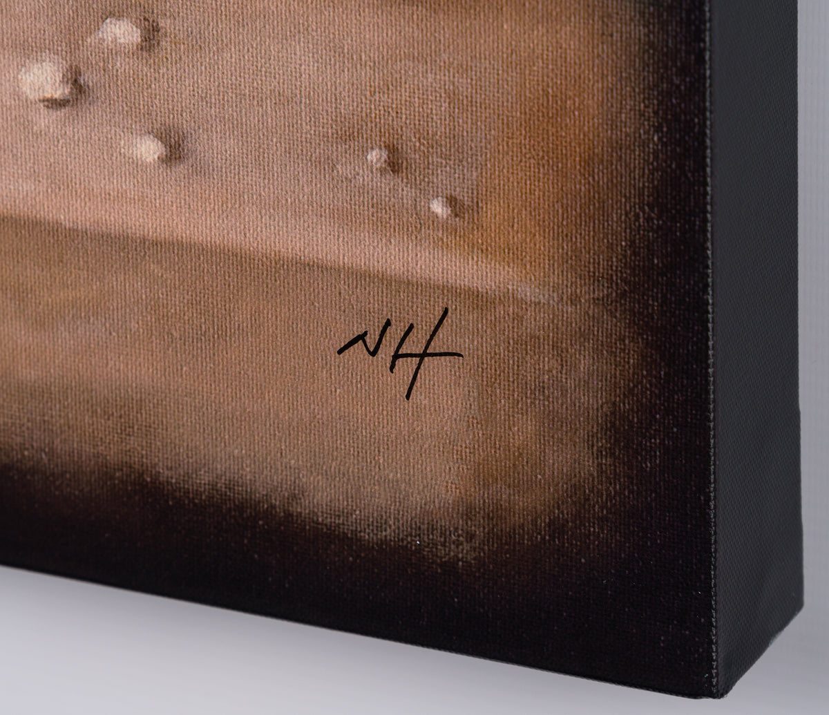 NHU SLE POR 25606 5 This Is The Way  Boxed Canvas 