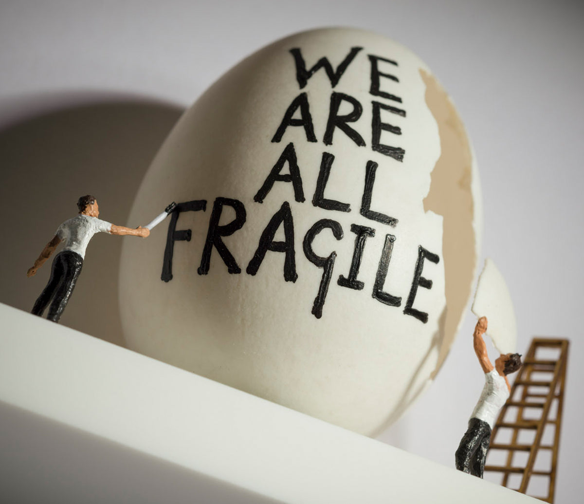 NJO Honesty Close Up 