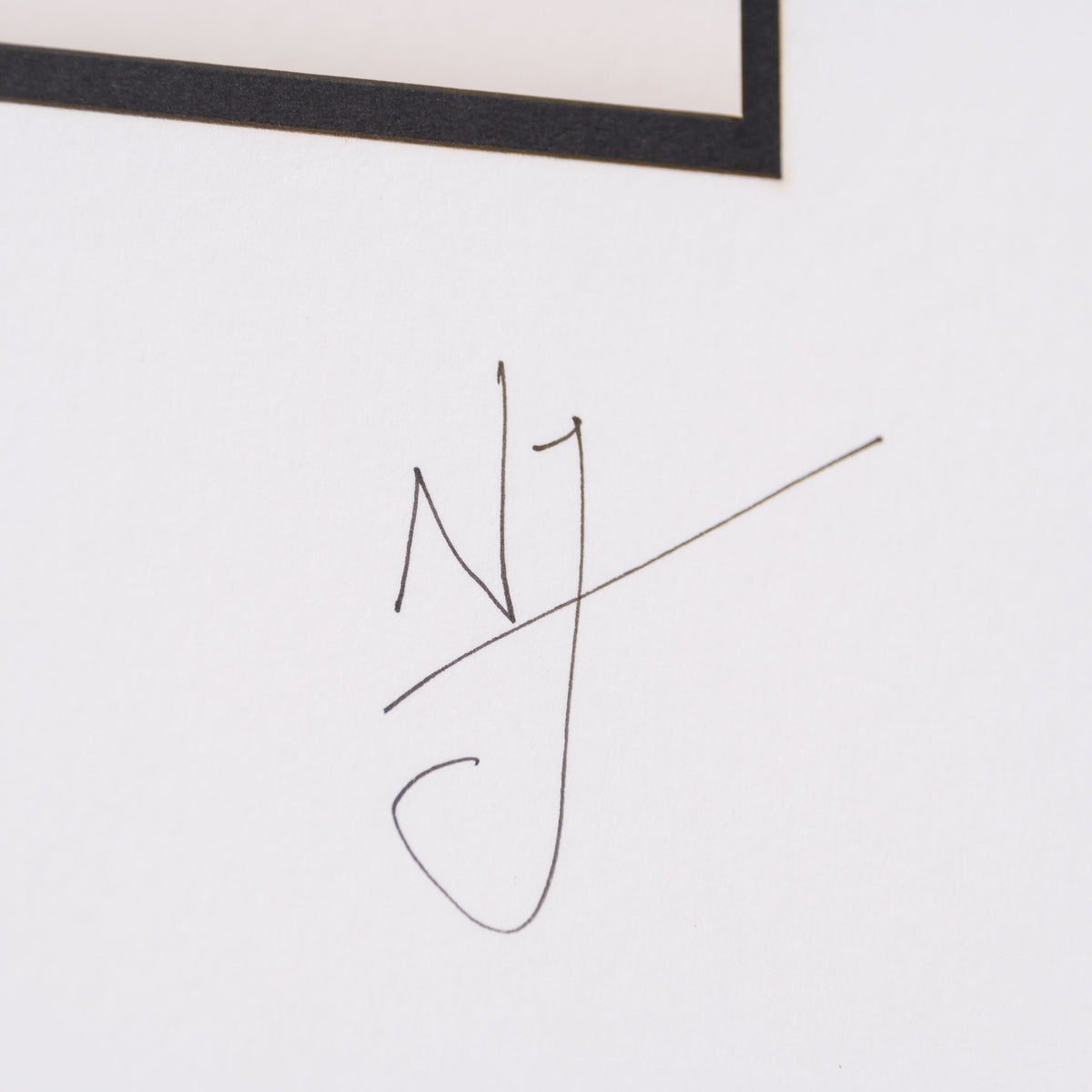 Product image 2 for nic-joly-making-love-conceptual-edition