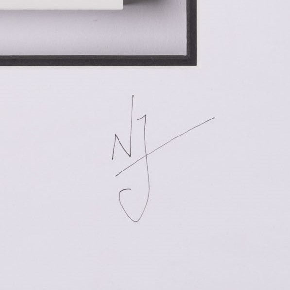 Product image 1 for nic-joly-why-not