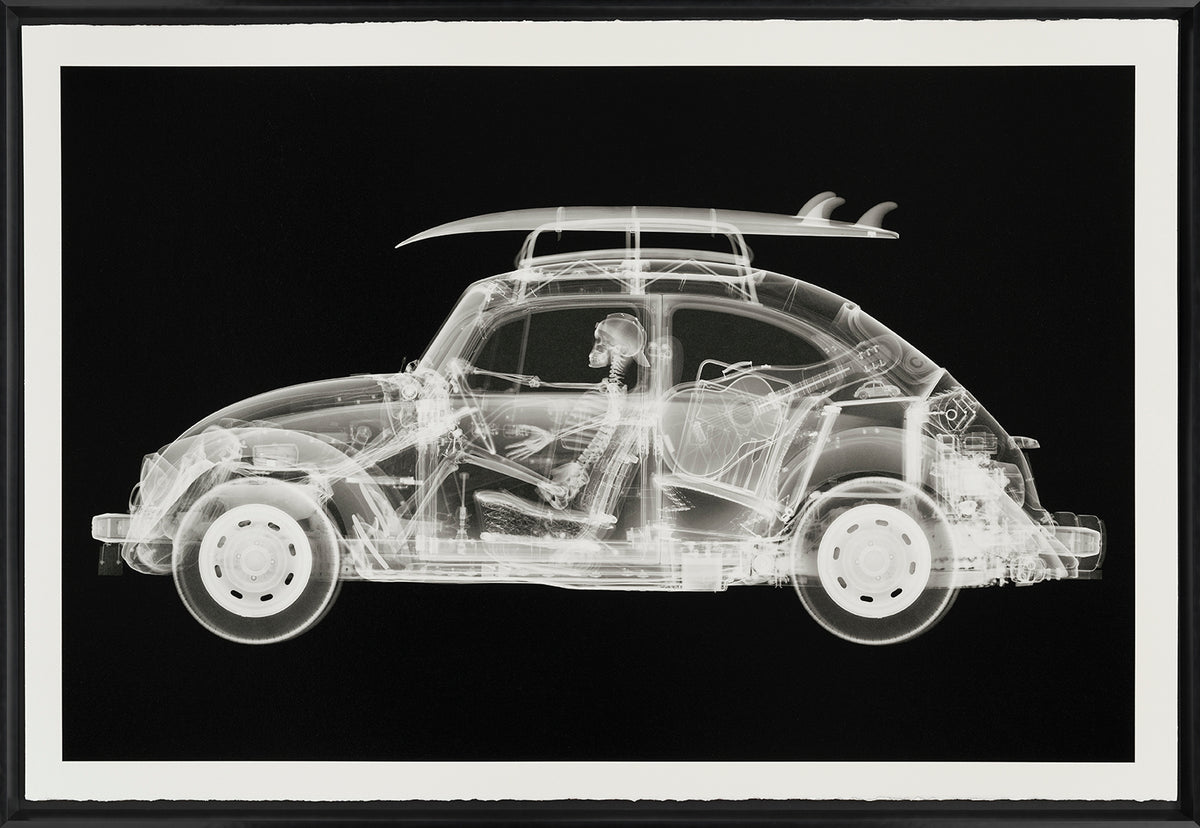 NVE CALIFORNIA BUG (LARGE BLACK) F 