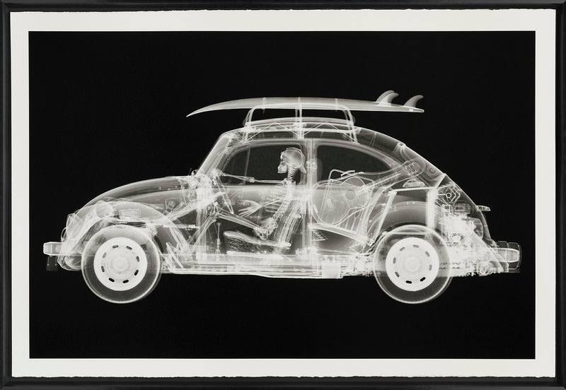 NVE CALIFORNIA BUG (LARGE BLACK) F 