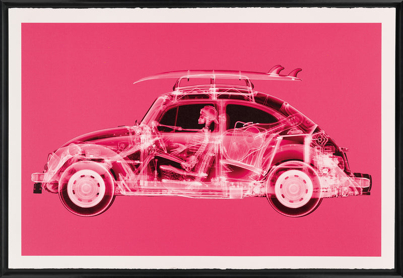 NVE CALIFORNIA BUG (LARGE PINK) F 