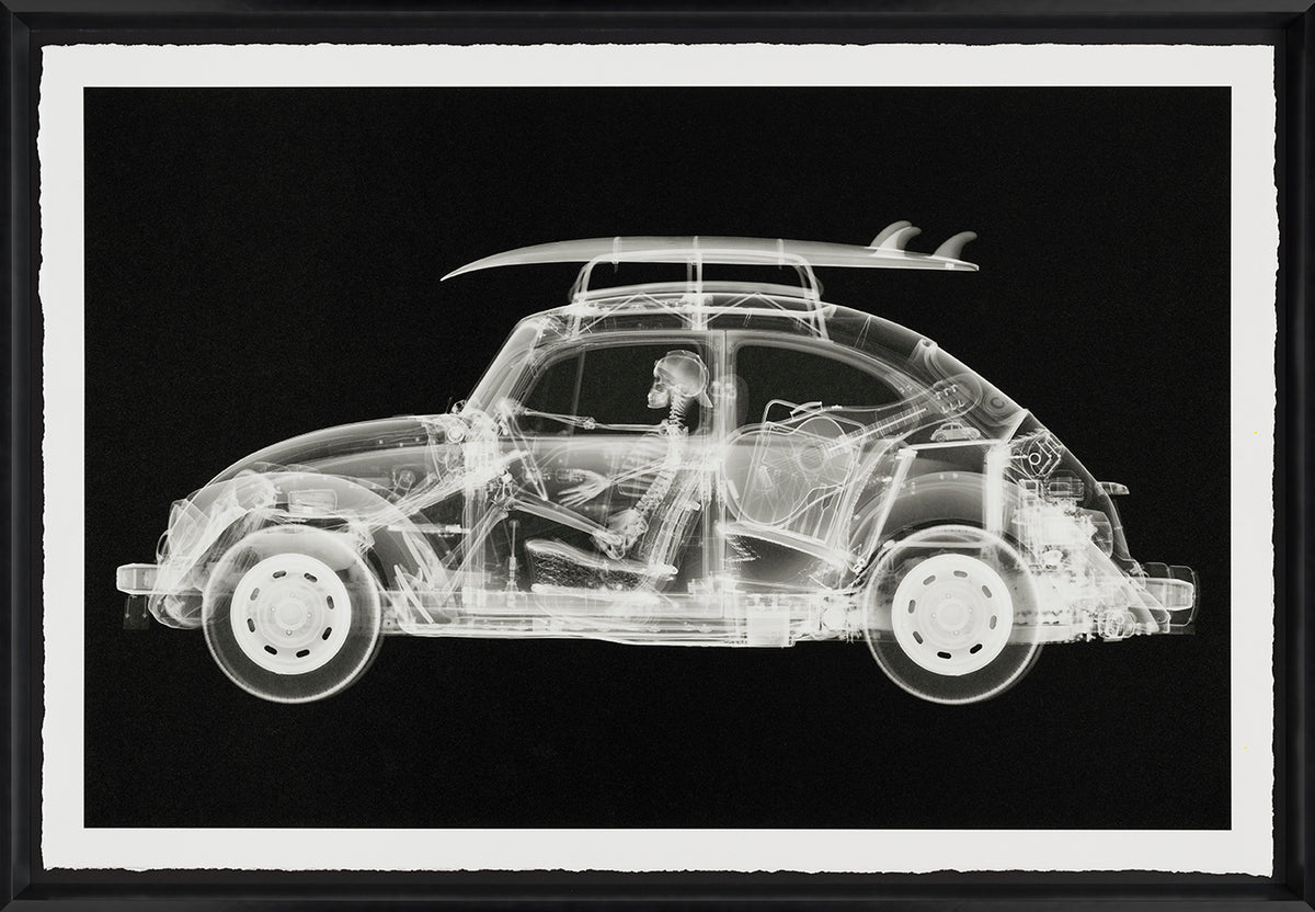 NVE CALIFORNIA BUG (STANDARD BLACK) F 