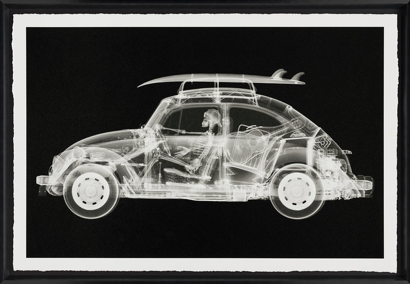 NVE CALIFORNIA BUG (STANDARD BLACK) F 