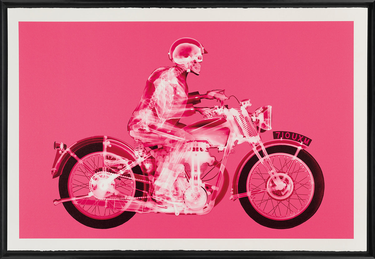 Matchless Rider (large pink) | Nick Veasey