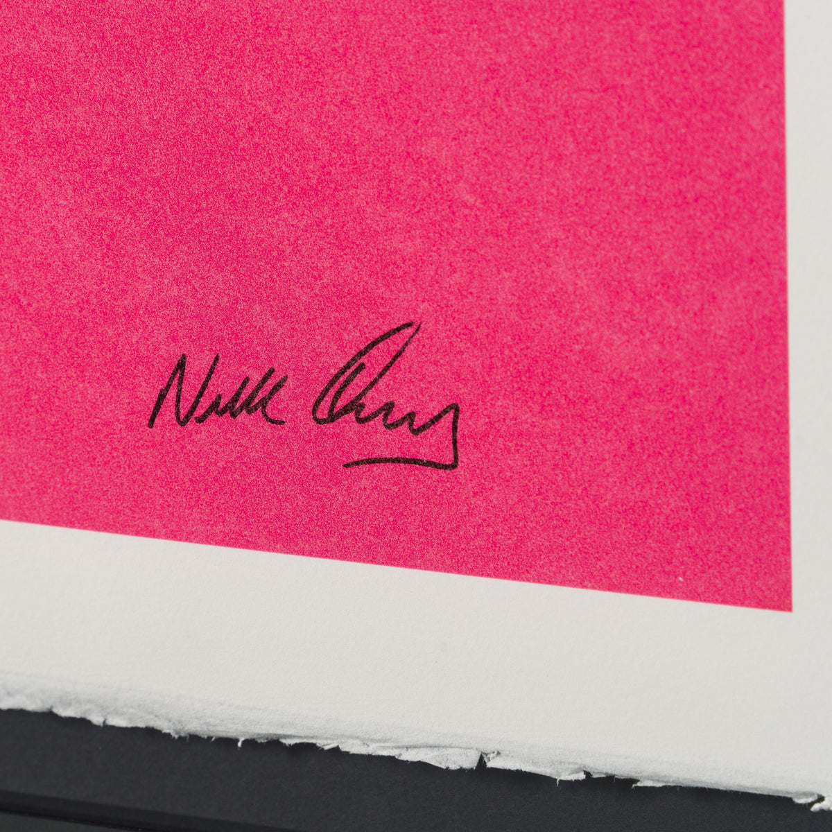 NVE SLE HUM 19932 3 California Bug (Standard Pink) 