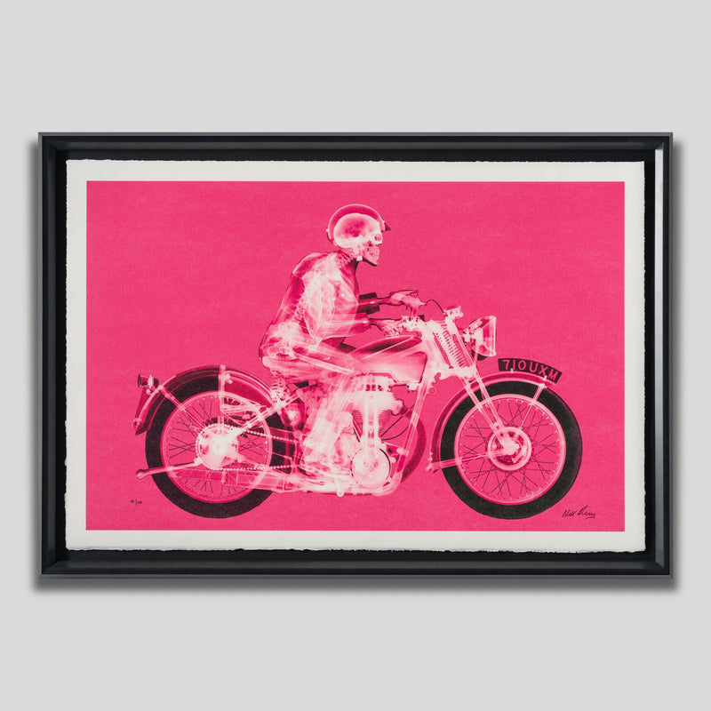 NVE SLE HUM 19934 1 Matchless Rider (Standard Pink) 