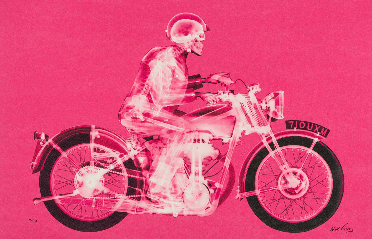 NVE SLE HUM 19934 31 Matchless Rider (Standard Pink) 