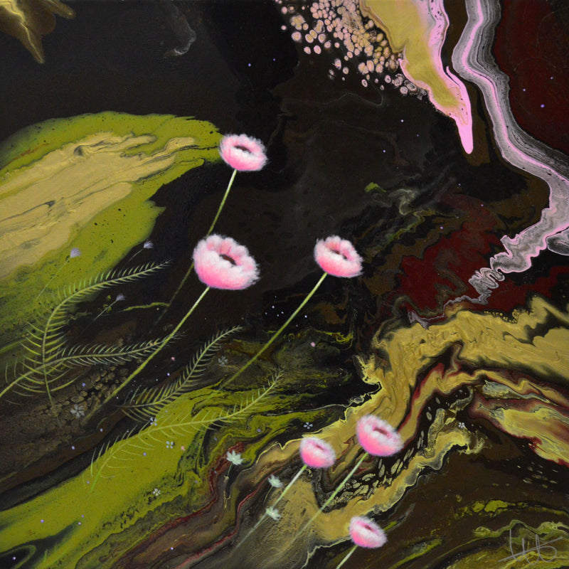 Oriental Poppy II(Harem s Dream) 