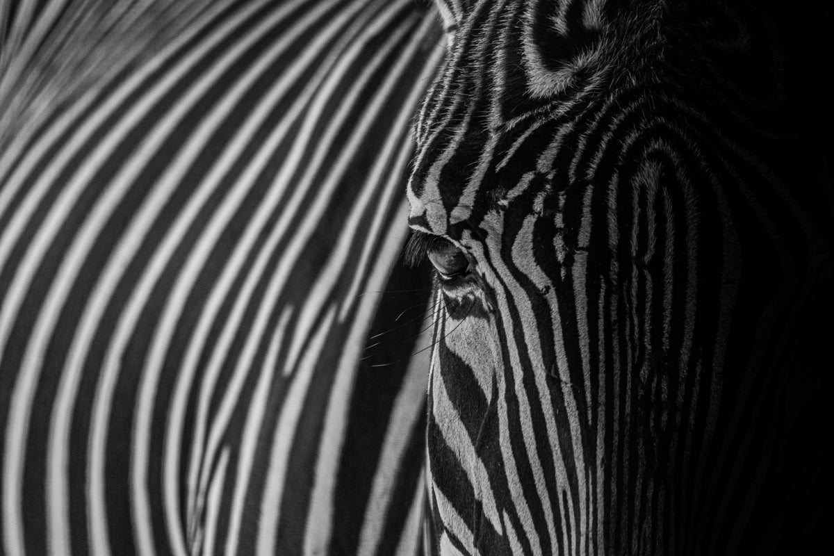 Out Of The Dark   original 