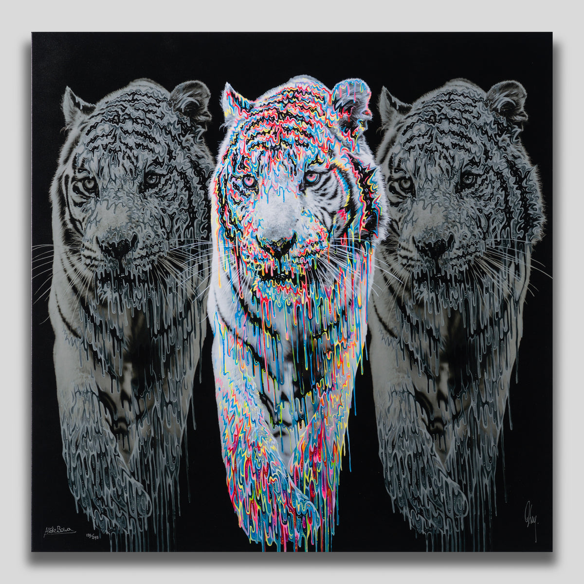 OXB SLE WWL 29397M 1 Baikal 