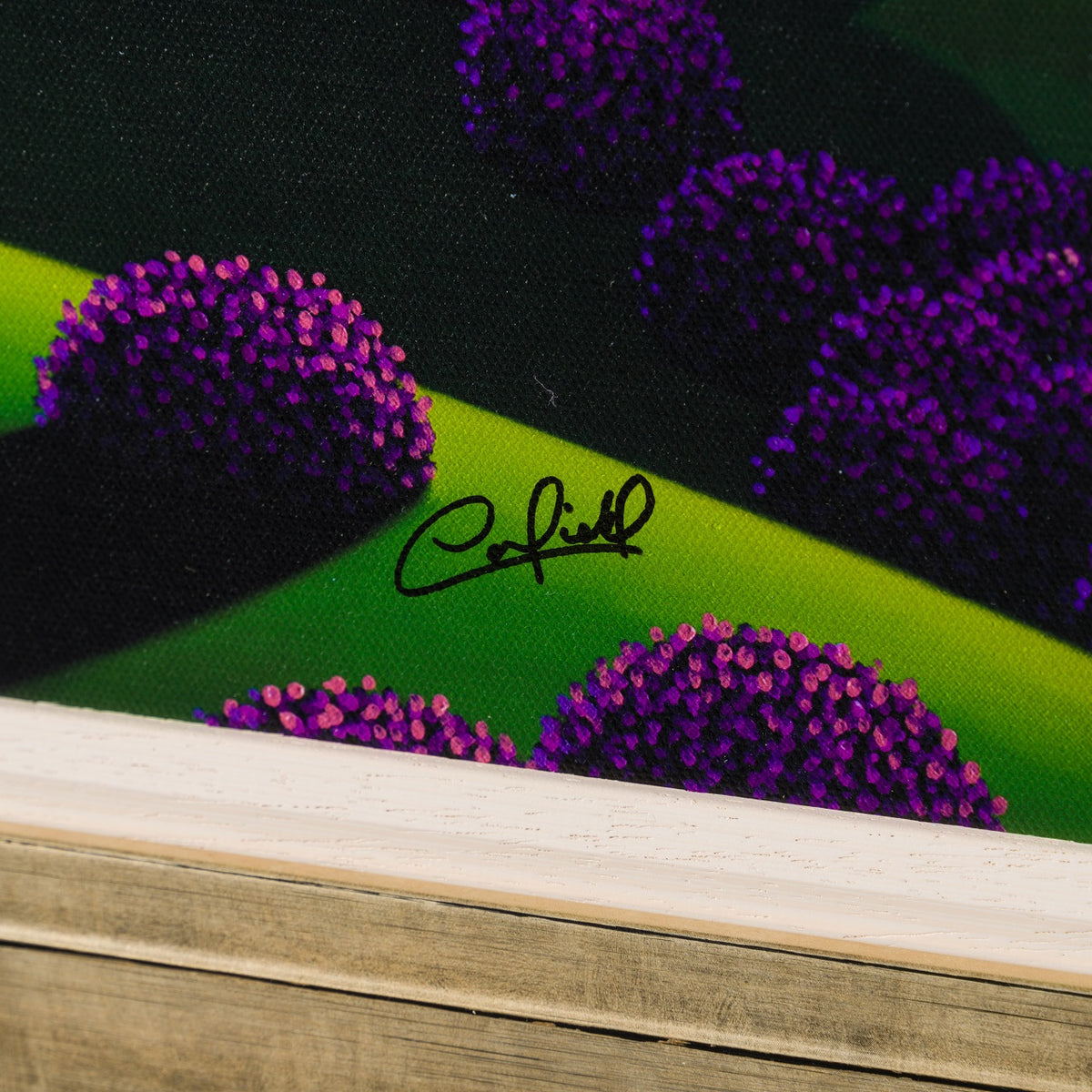 PCO 3 Highland Heather 