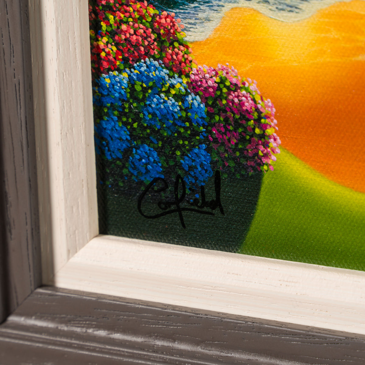 Product image 1 for paul-corfield-amber-cove