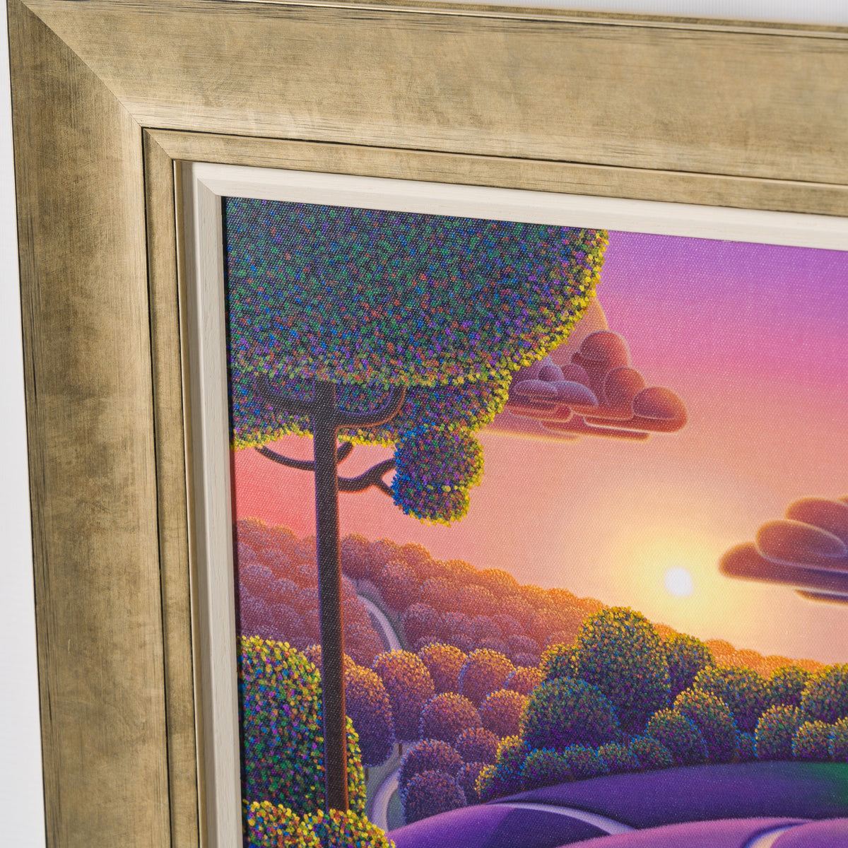 PCO Lavender Sunrise 5 