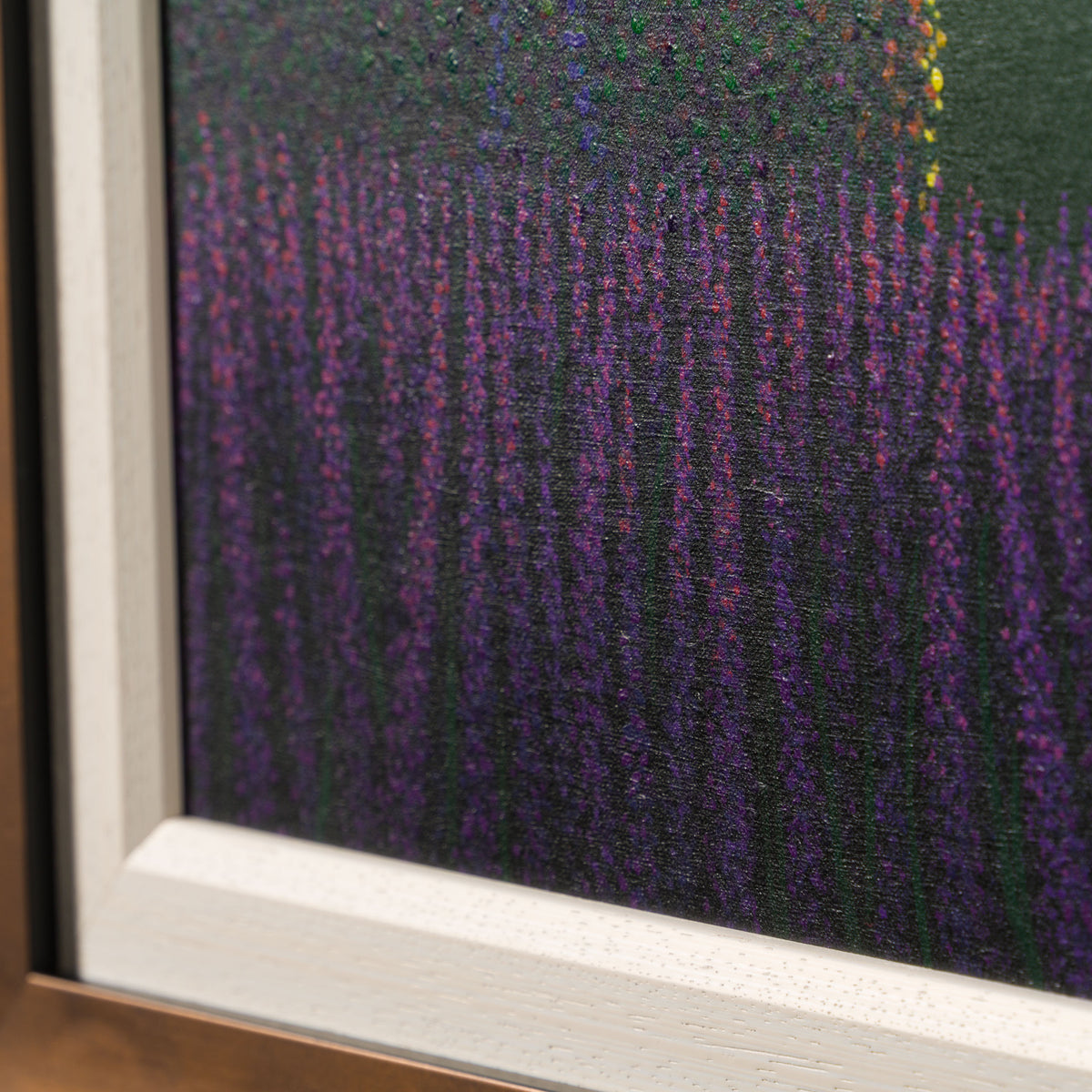 PCO ORI LAN 31535 Lavender Sunrise 6 