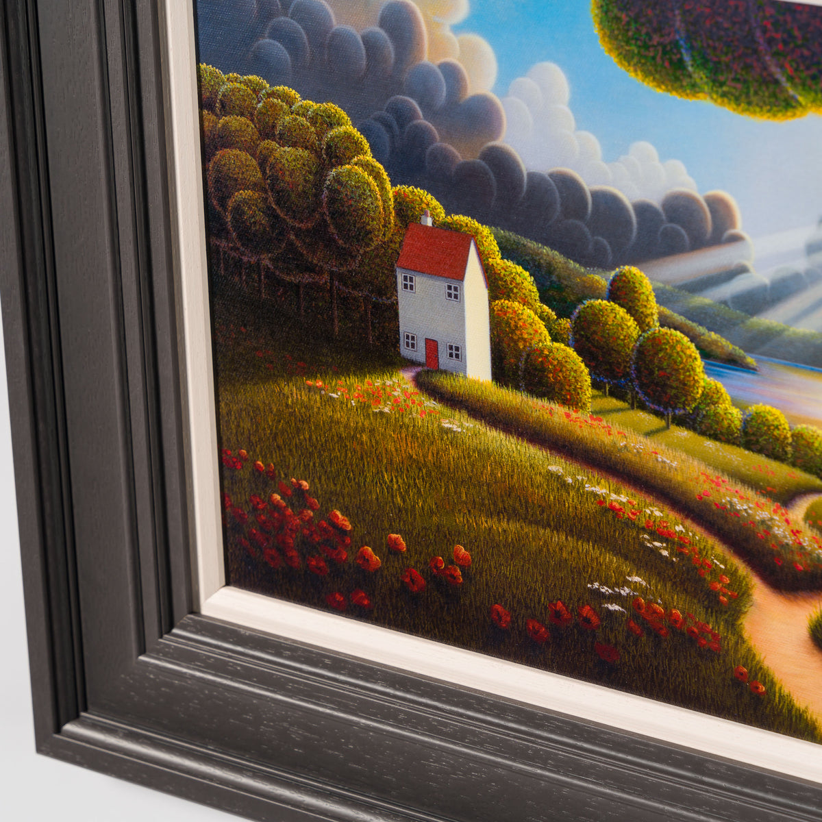 PCO Poppies In The Morning 5 