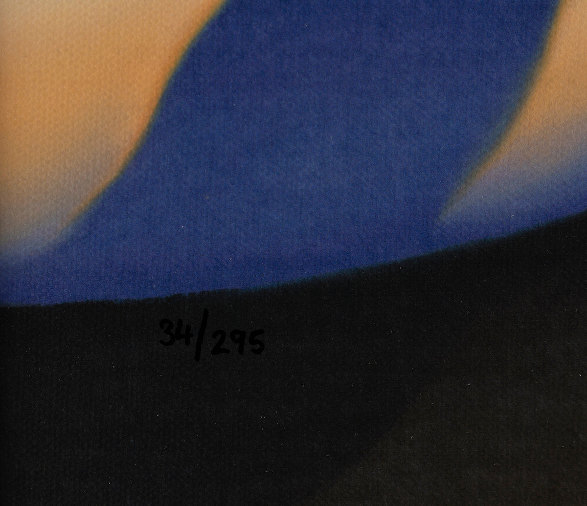 PCO SLE LAN 25711 8 Under a Blanket of Snow 