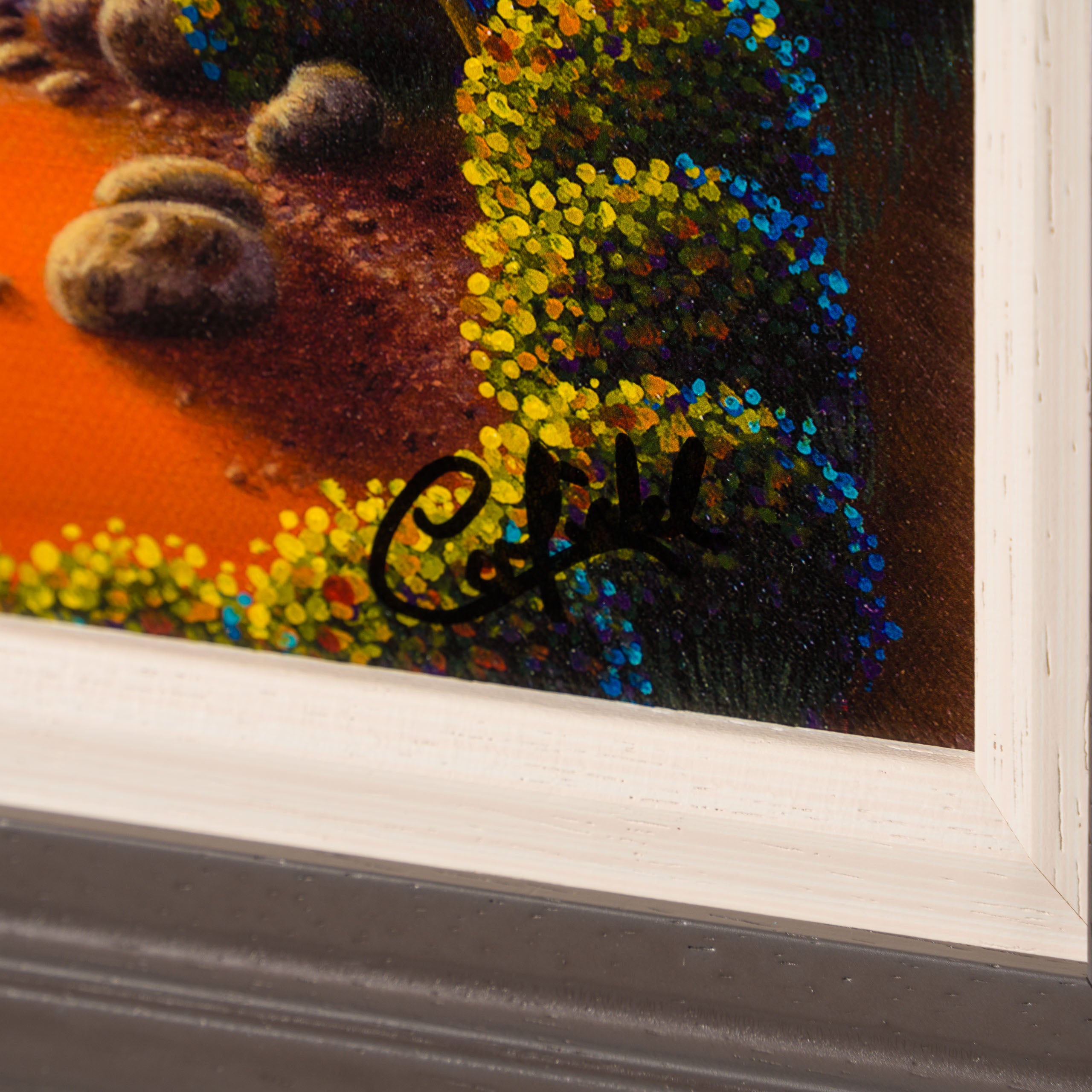 Product image 1 for paul-corfield-spectrum-of-light