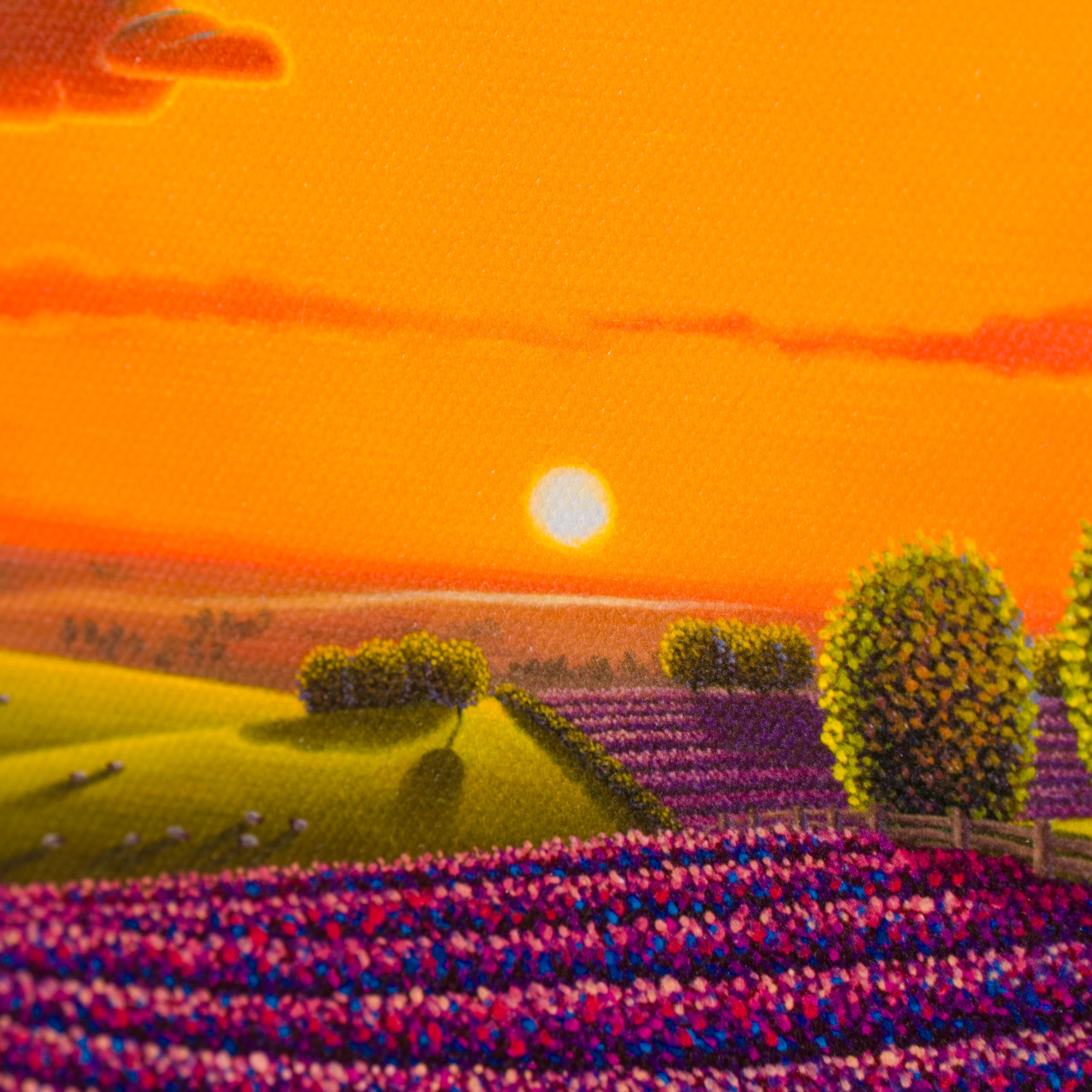 Product image 2 for paul-corfield-autumn-2024-set-of-five