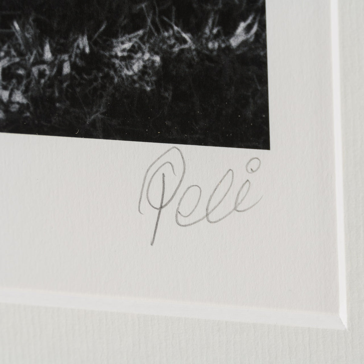 PEL SLE POR 03335 3 Santos 