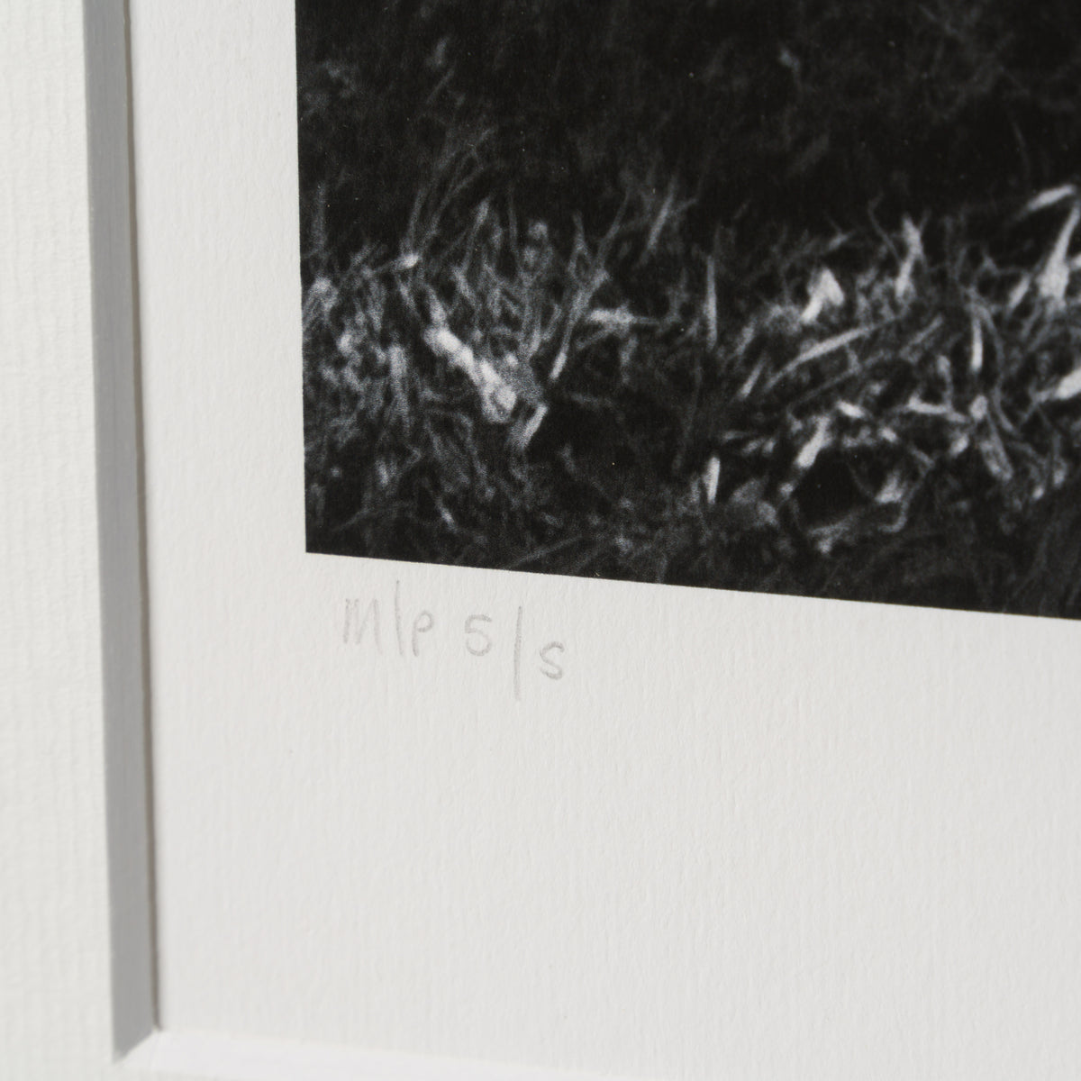 PEL SLE POR 03335 4 Santos 