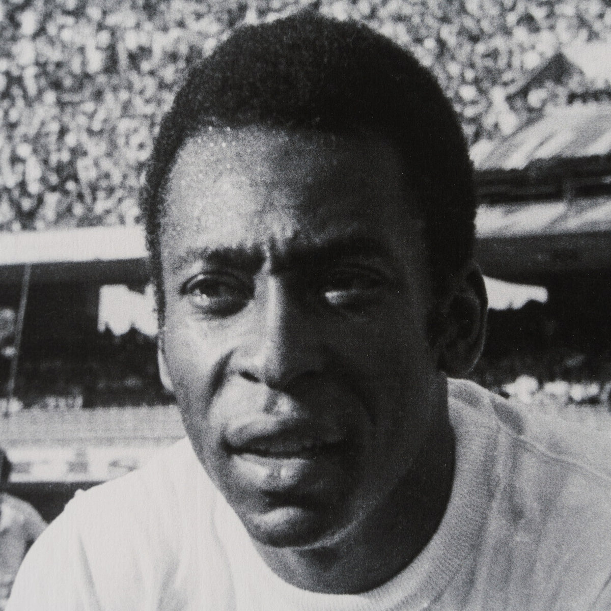 PEL SLE POR 03335 5 Santos 