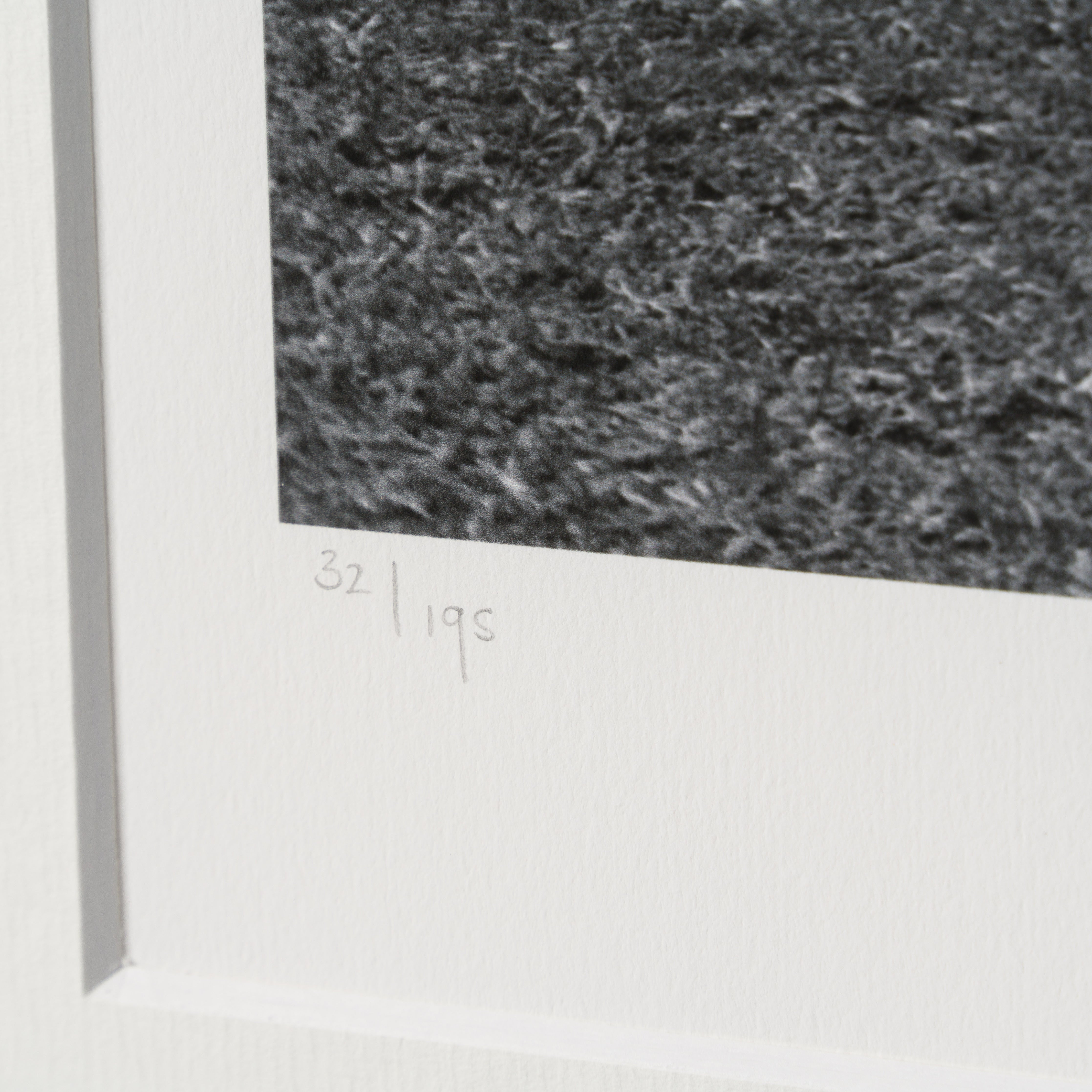 PEL SLE POR 03337 4 Warm Up 