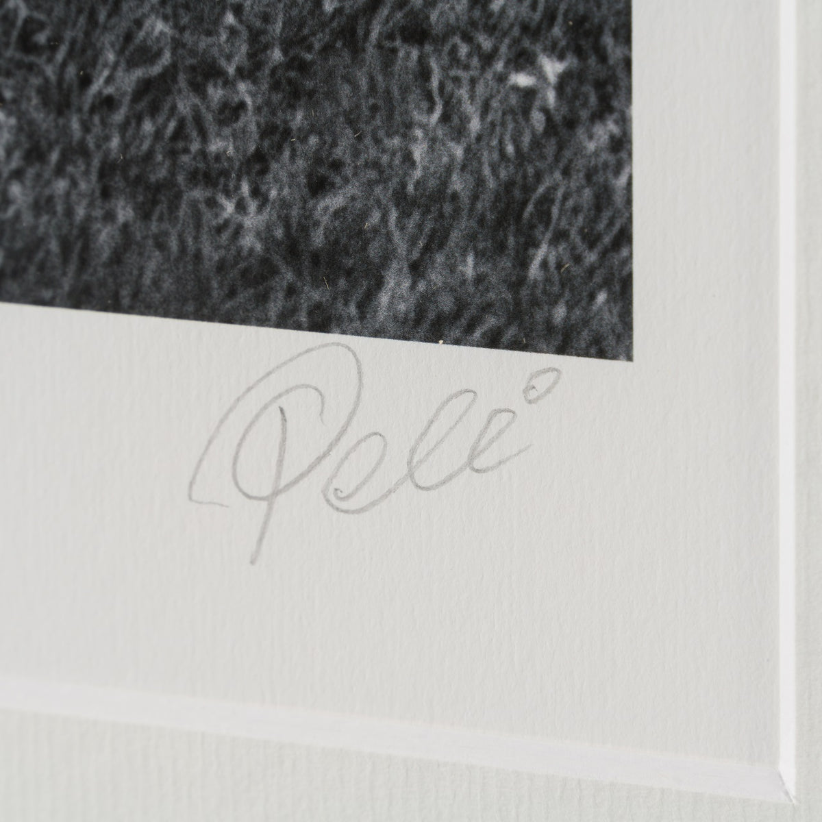 PEL SLE POR 03340 3 Brazil 30  