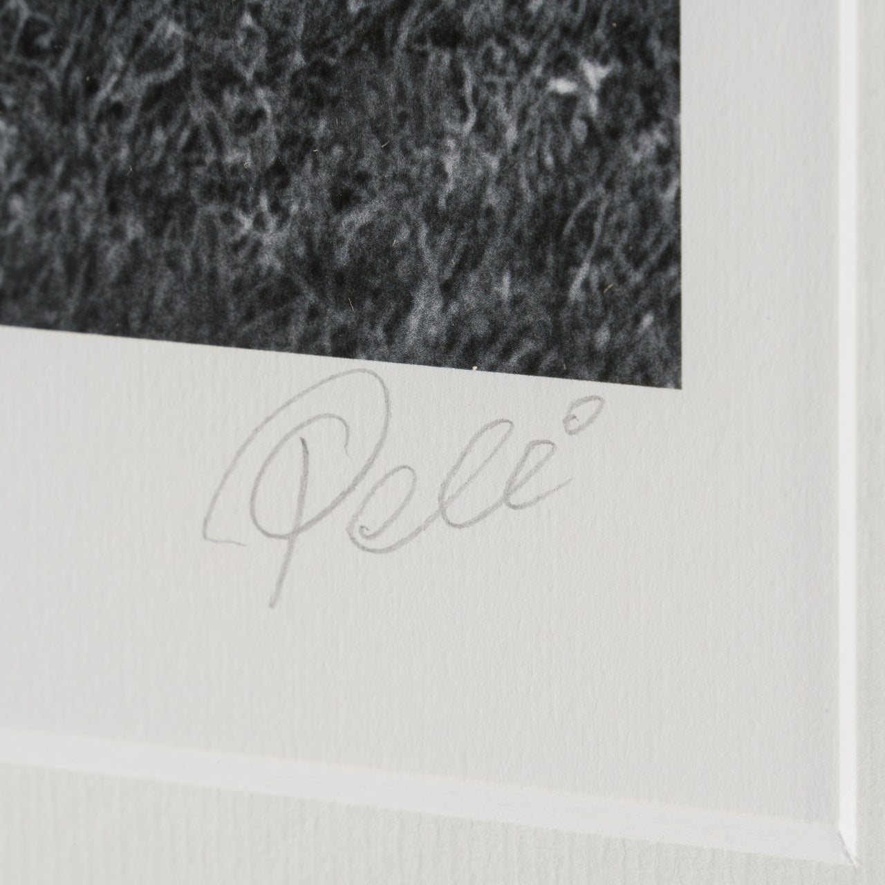 PEL SLE POR 03340 3 Brazil 30  