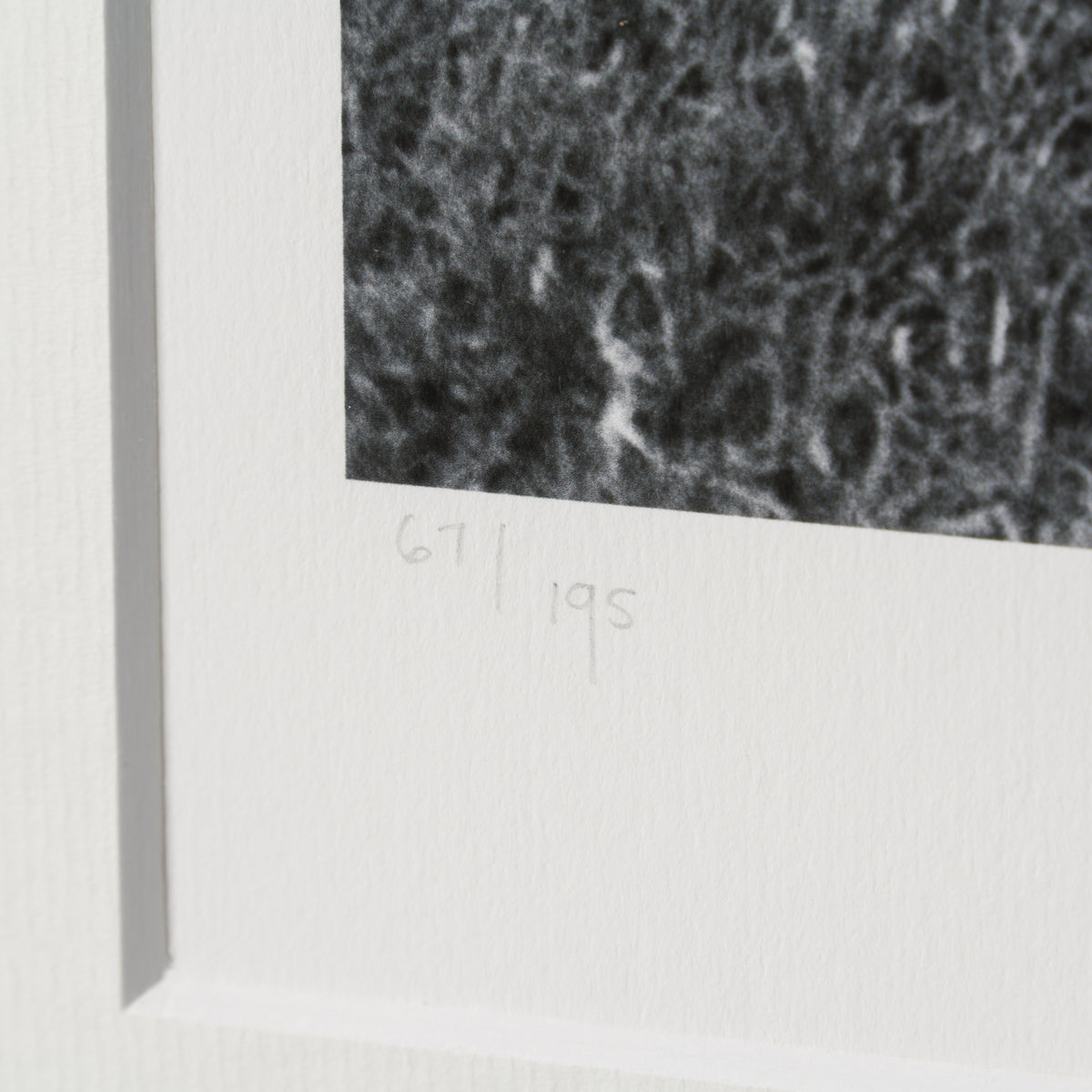 PEL SLE POR 03340 4 Brazil 30  