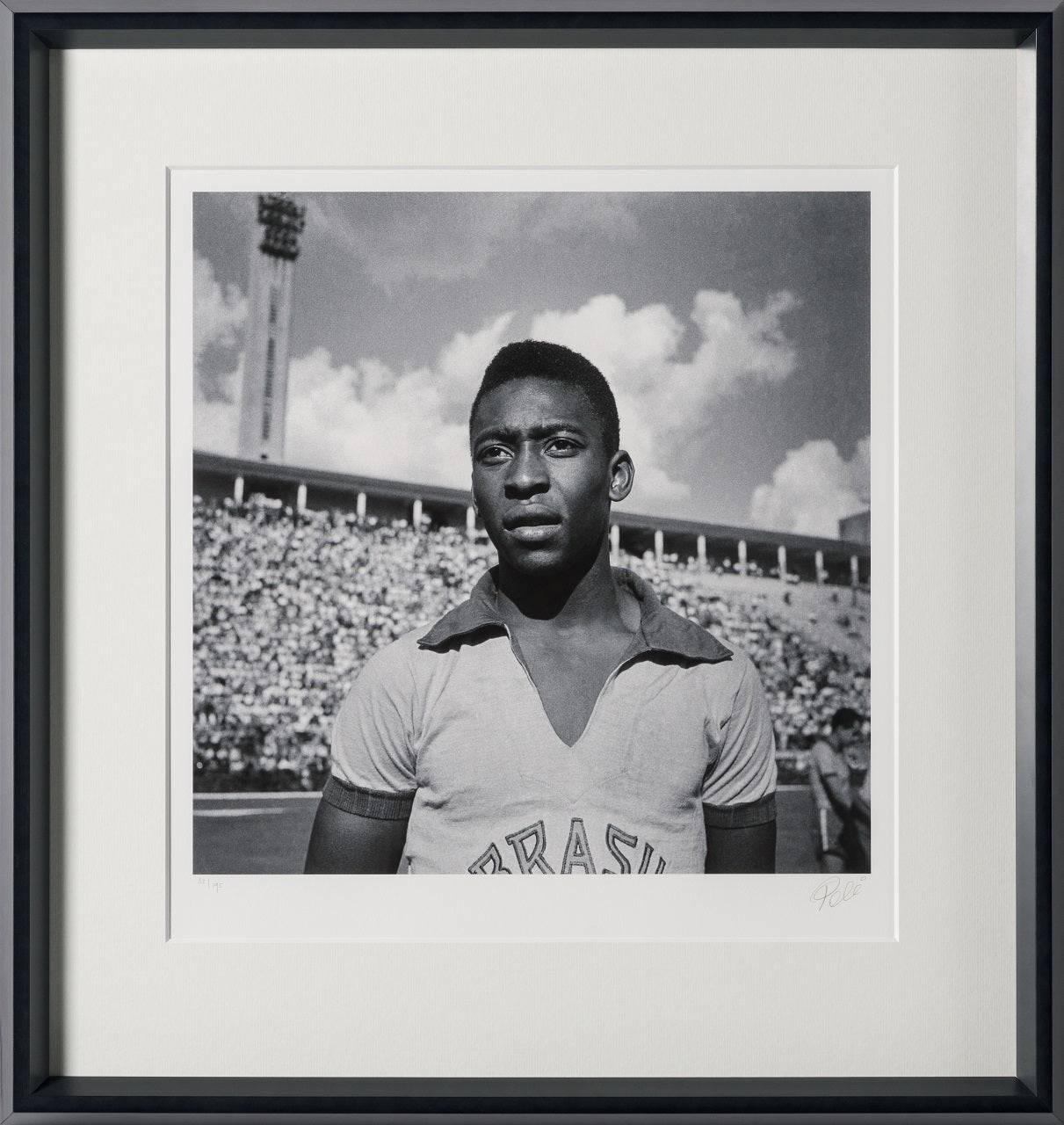 PEL SLE POR 03341 30 Pele 30  