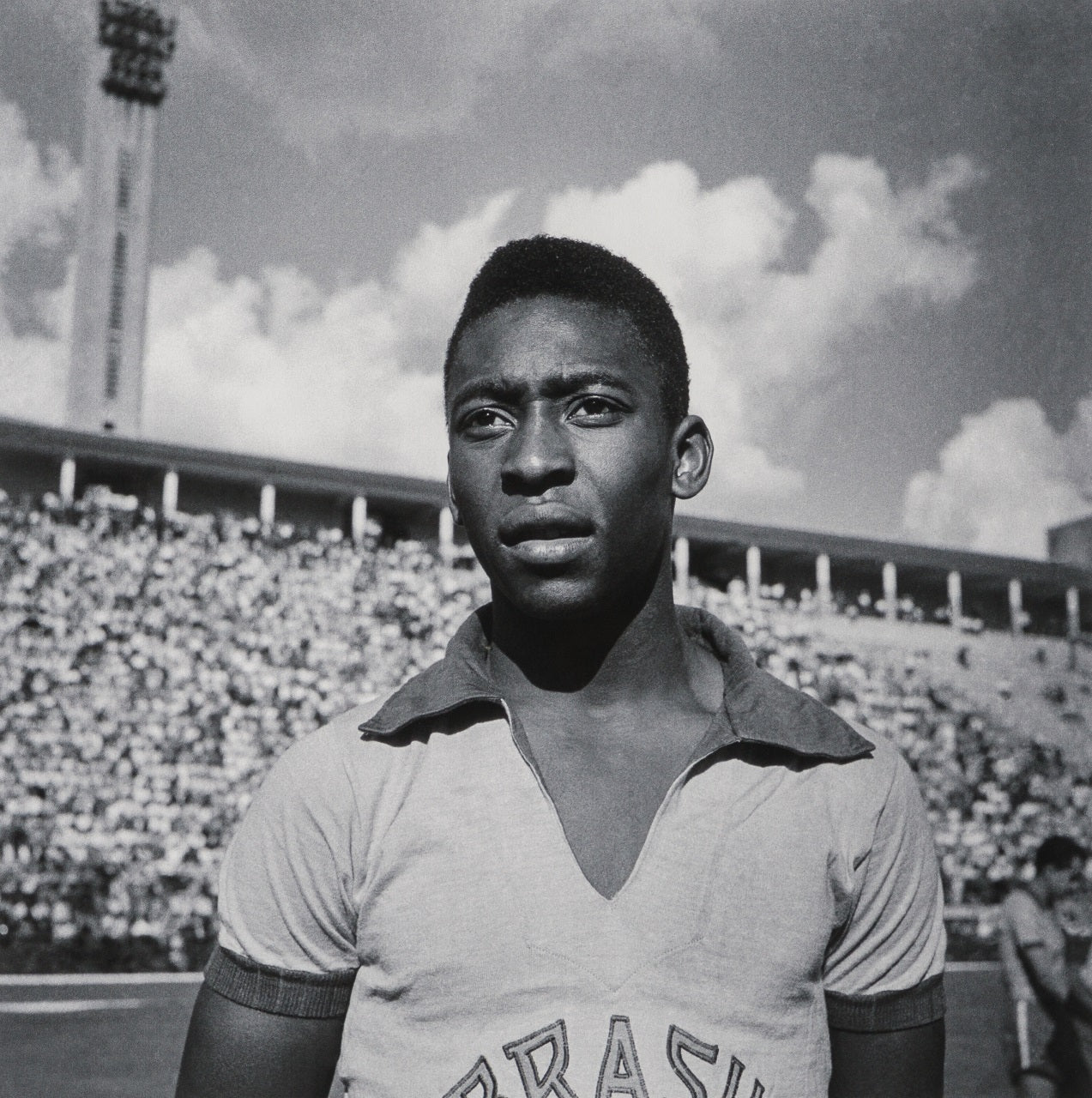 PEL SLE POR 03341 31 Pele 30  