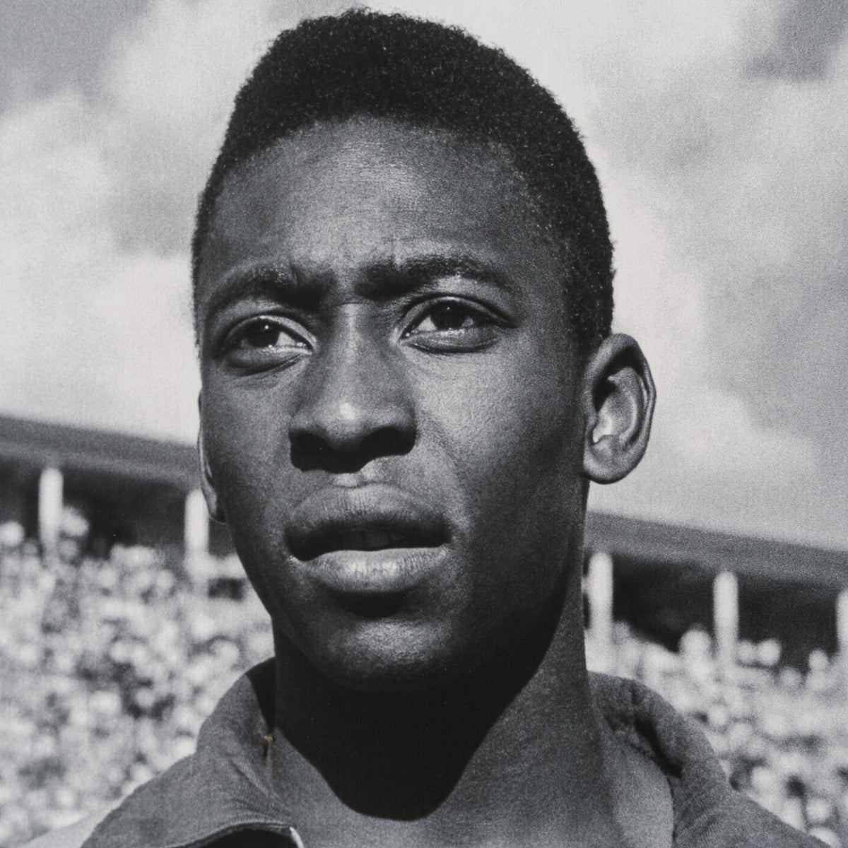 PEL SLE POR 03341 5 Pele 30  