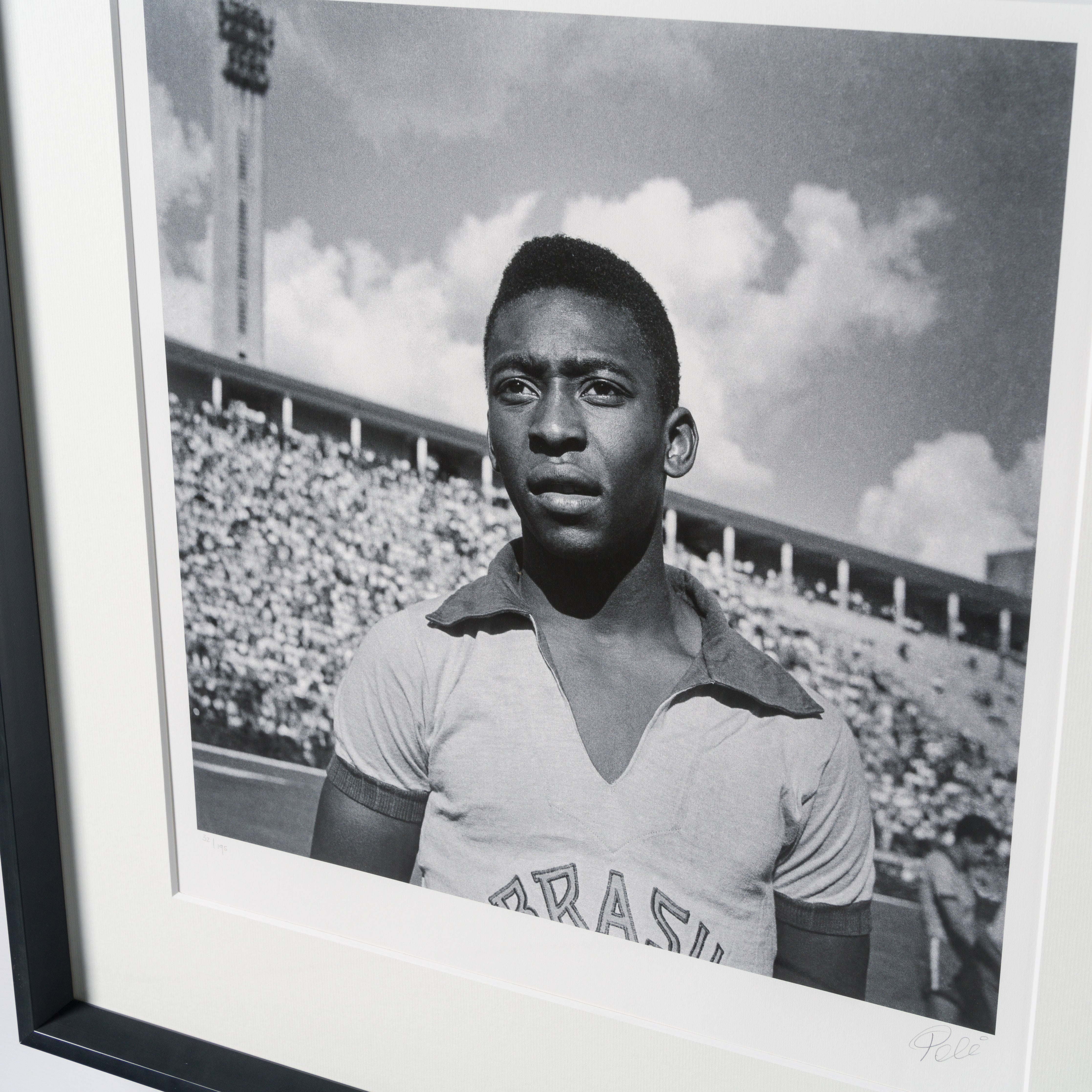 PEL SLE POR 03341 6 Pele 30  