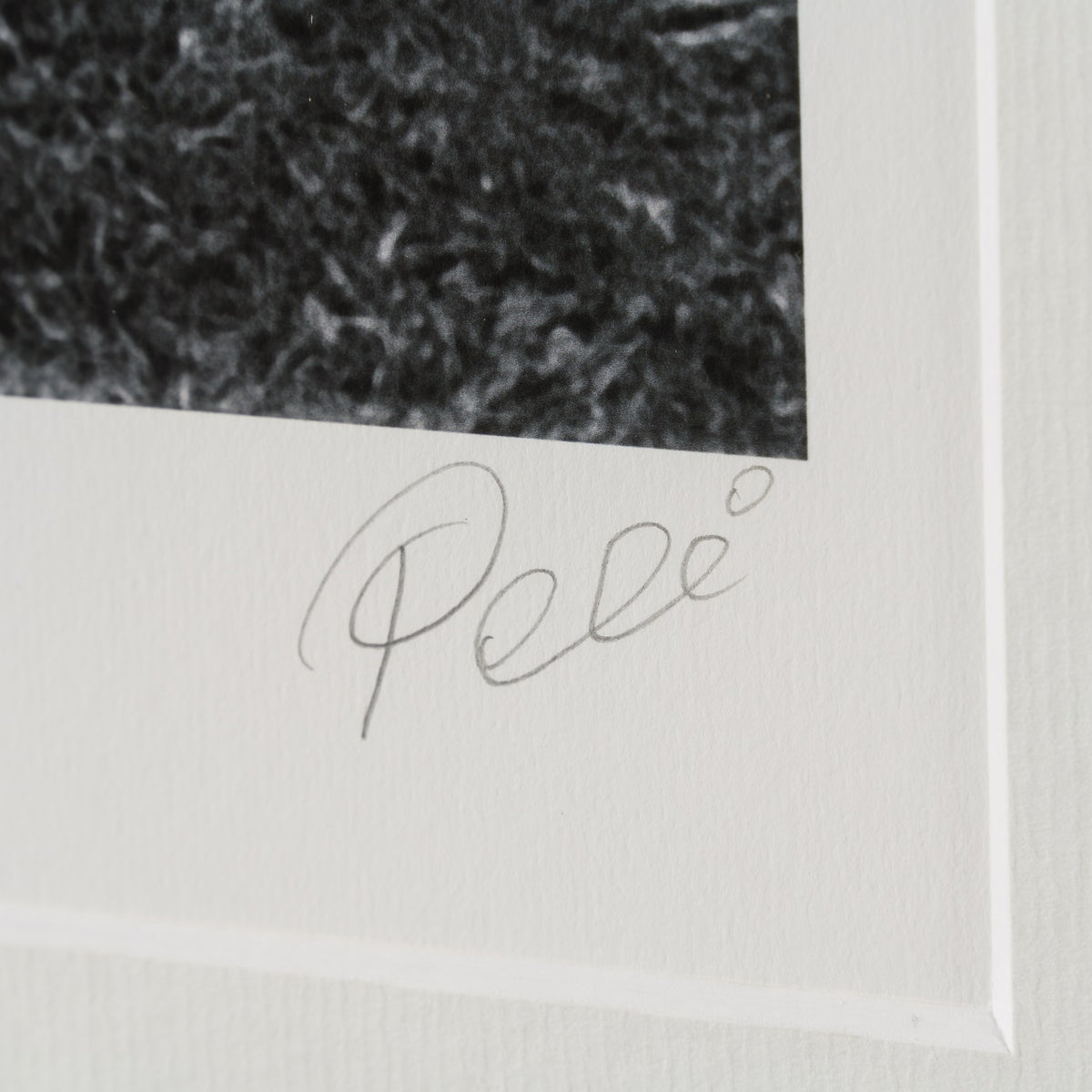 PEL SLE POR 03342 3 Training Hard 30  