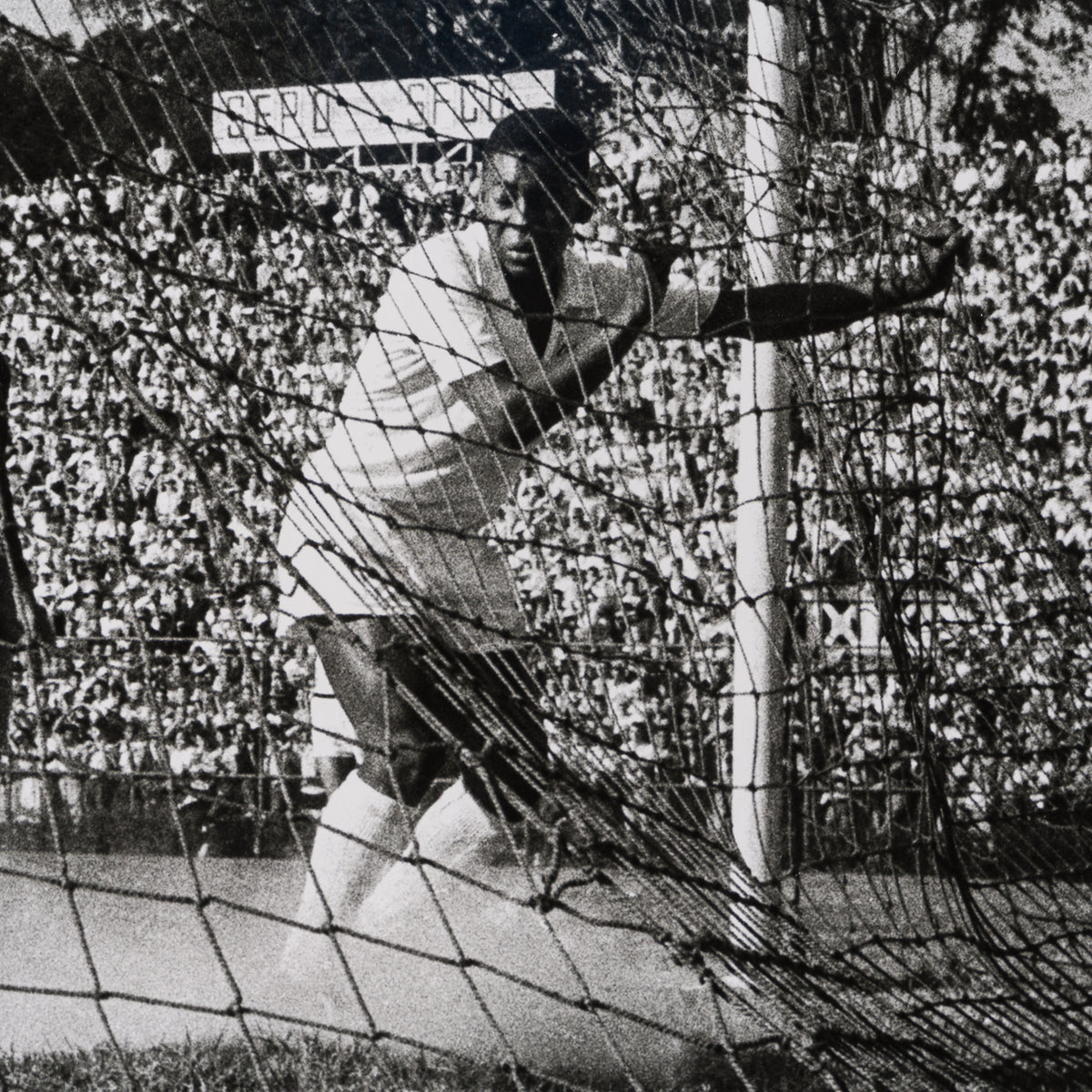 PEL SLE POR 03507 4 Back Of The Net 40  