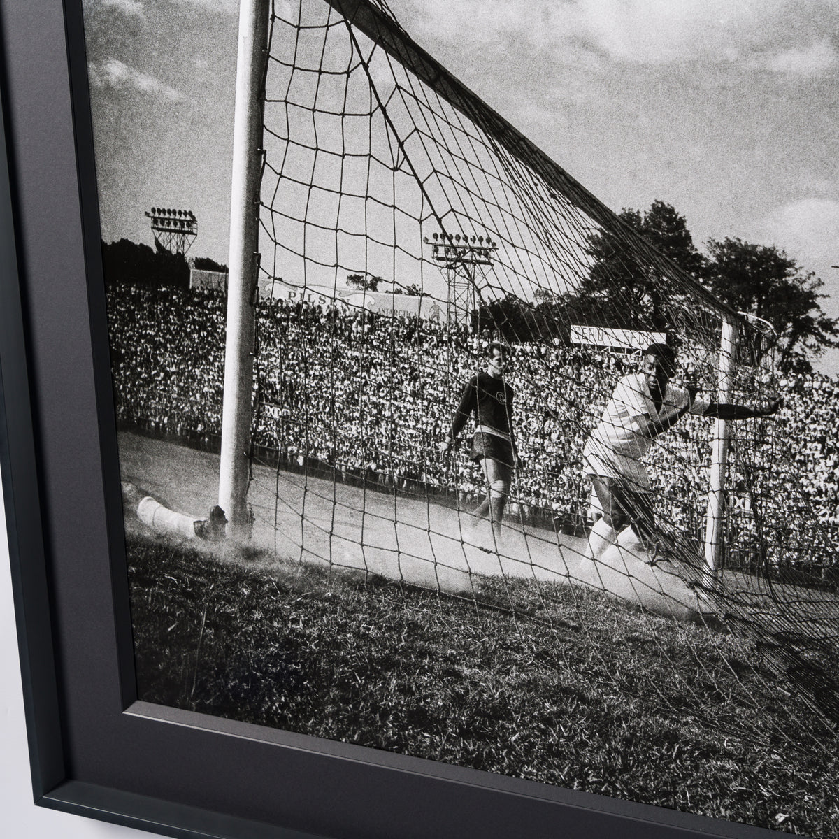 PEL SLE POR 03507 5 Back Of The Net 40  