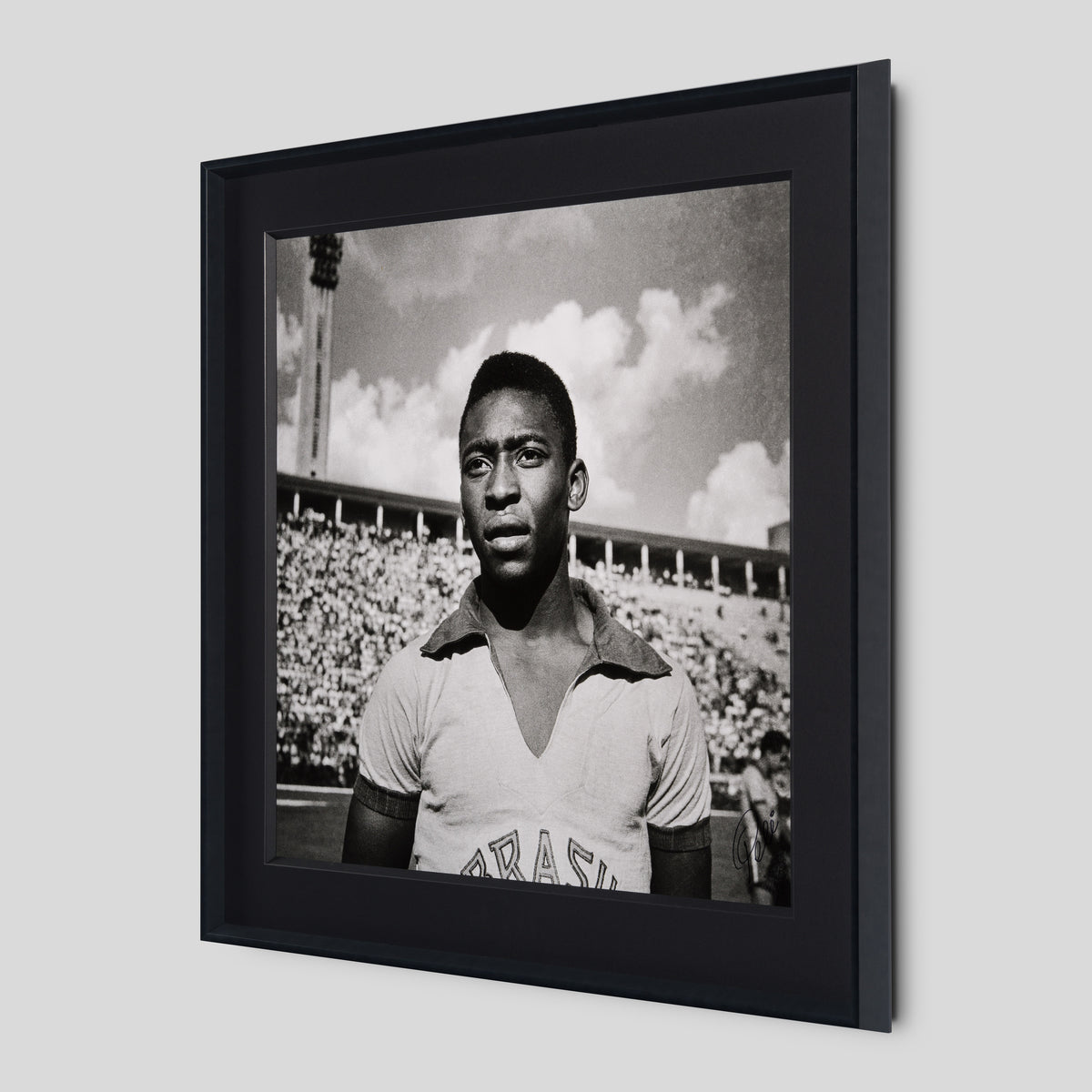 PEL SLE POR 03509 2 Pele 40  