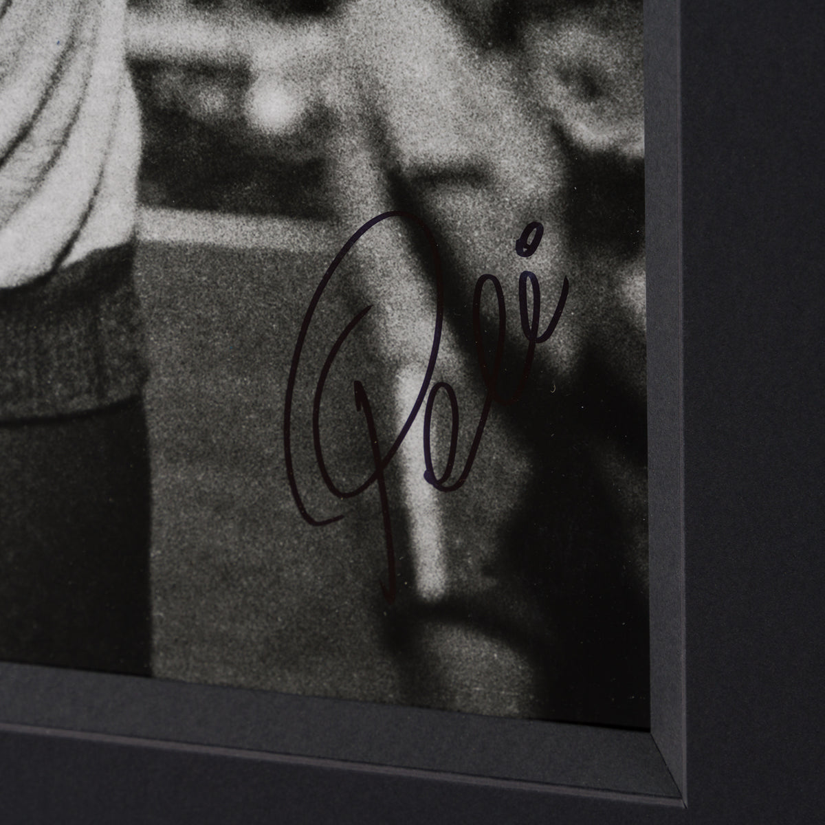 PEL SLE POR 03509 3 Pele 40  