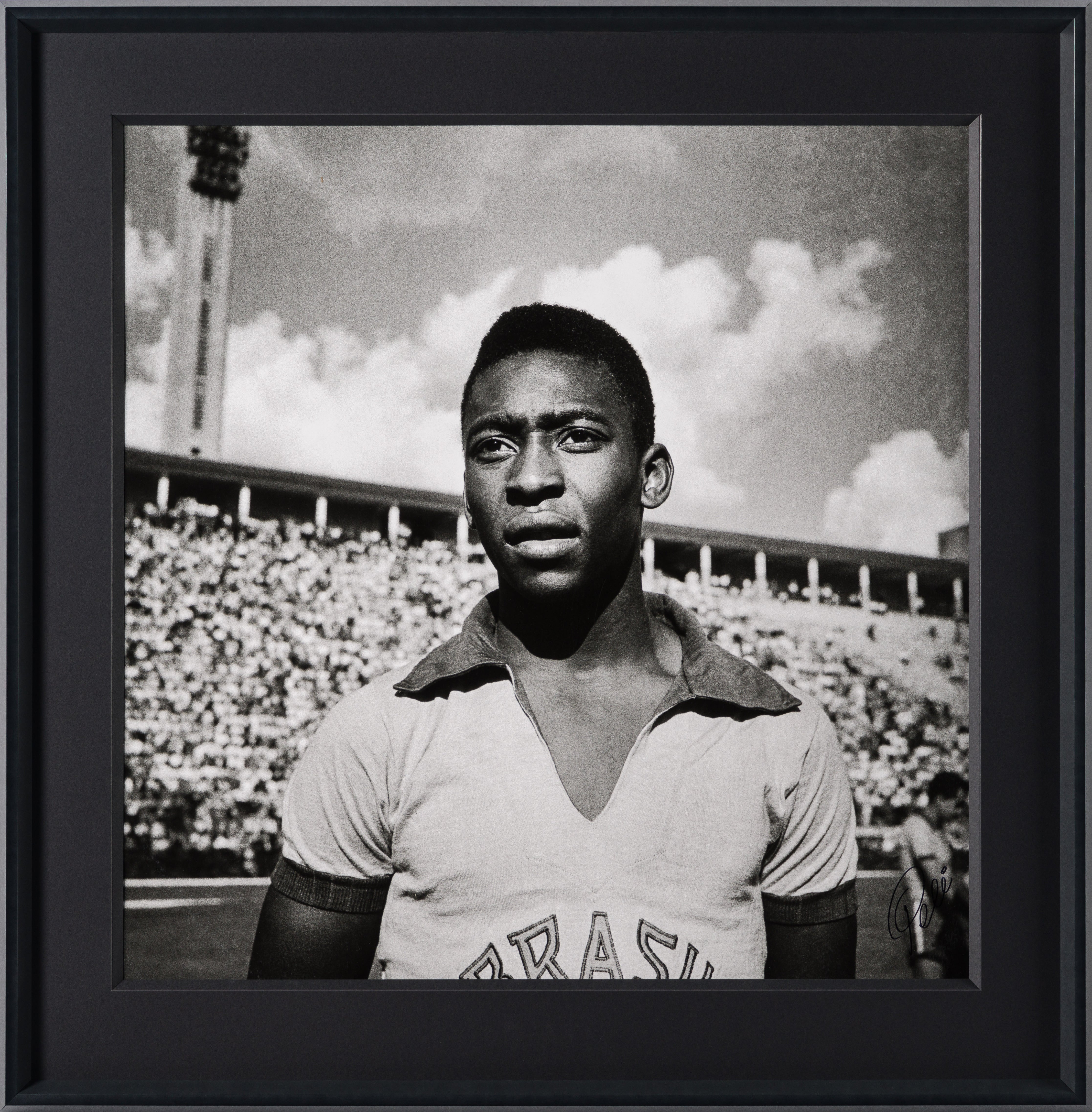 PEL SLE POR 03509 30 Pele 40  